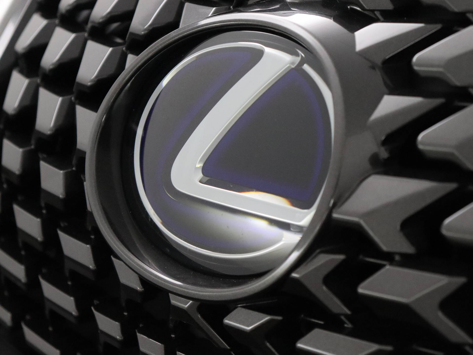 Lexus UX 250h Business Line *Demo* | Navigatie | Adaptive Cruise Control | - 31/34