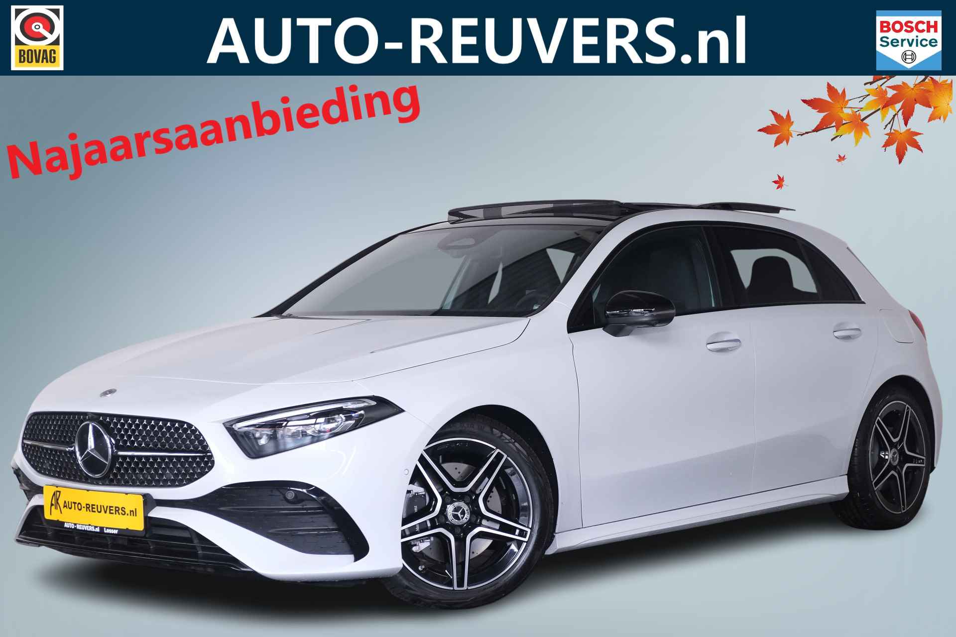 Mercedes-Benz A-Klasse BOVAG 40-Puntencheck