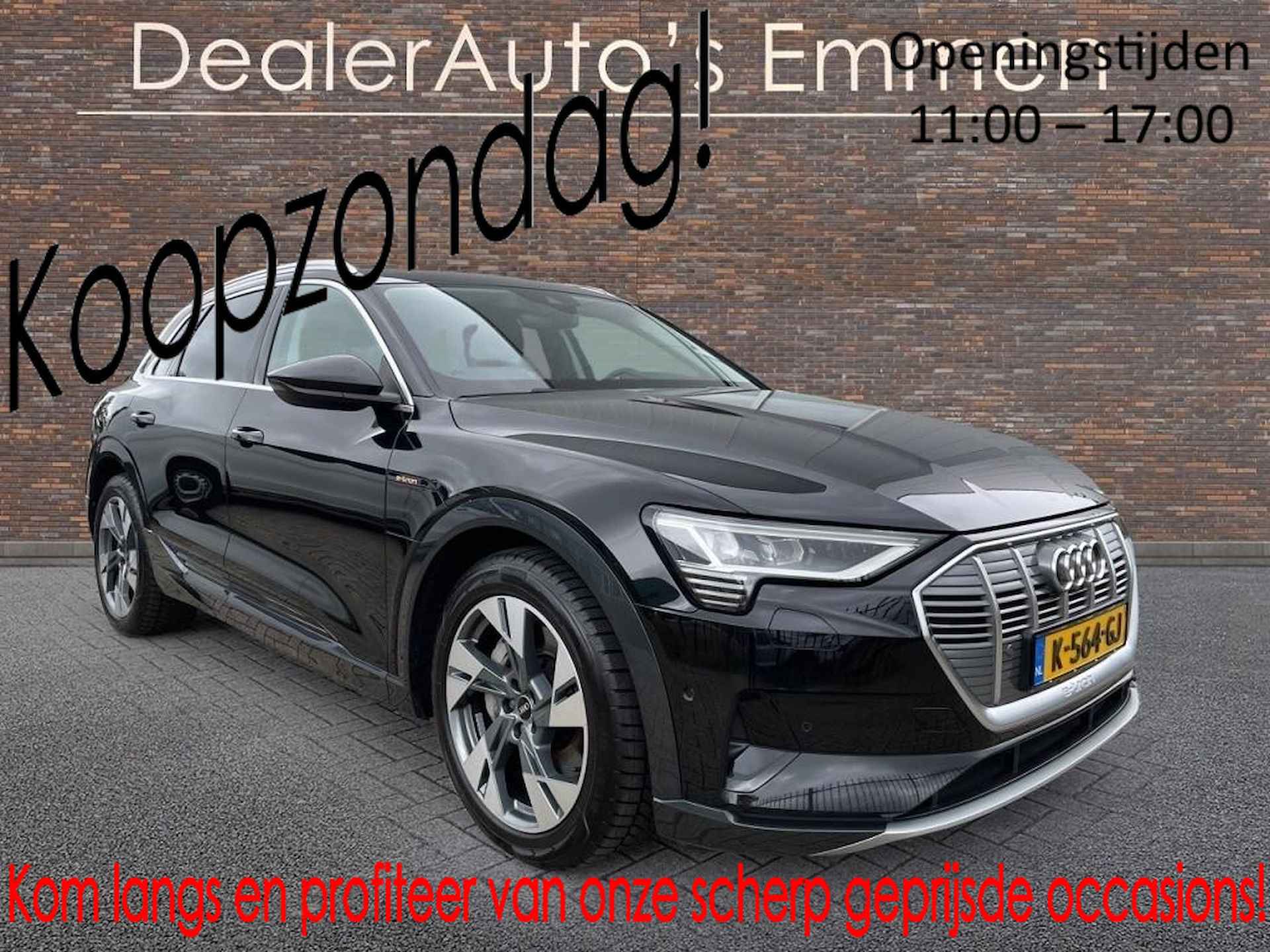 Audi e-tron BOVAG 40-Puntencheck