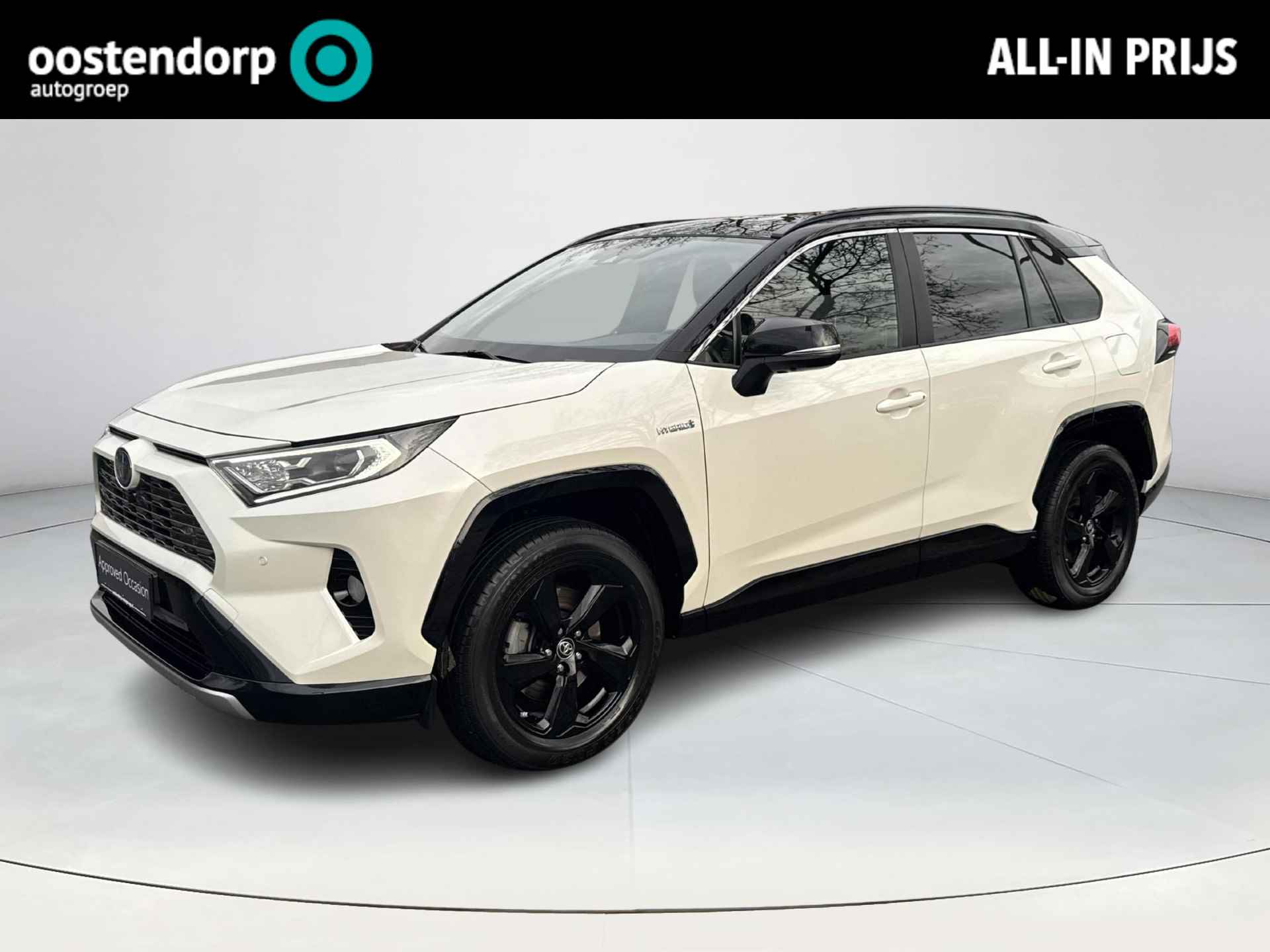 Toyota RAV4 BOVAG 40-Puntencheck