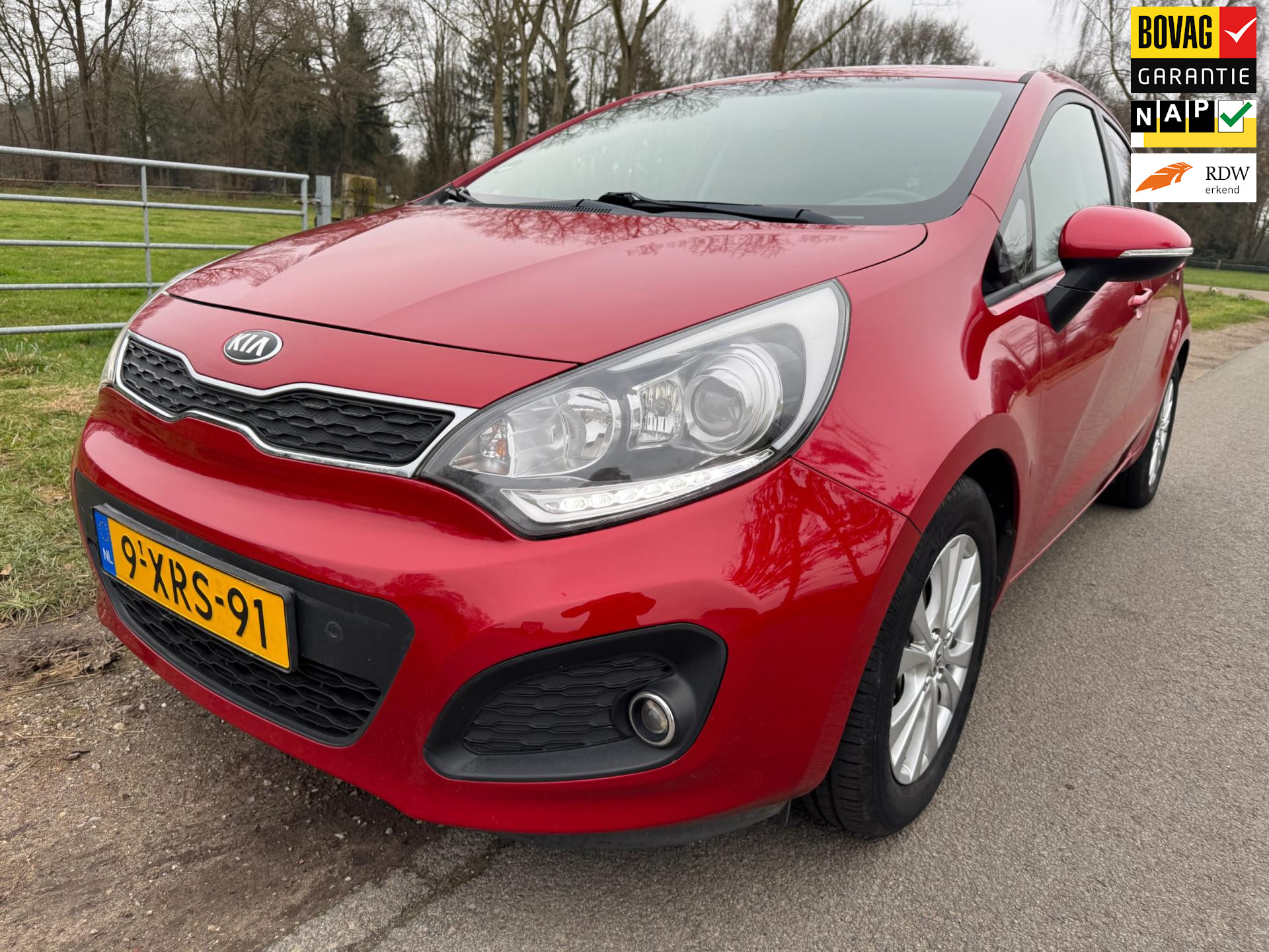 Kia Rio 1.2 CVVT World Cup Edition Plus dealer onderhouden met leder, 1ste eigenaar