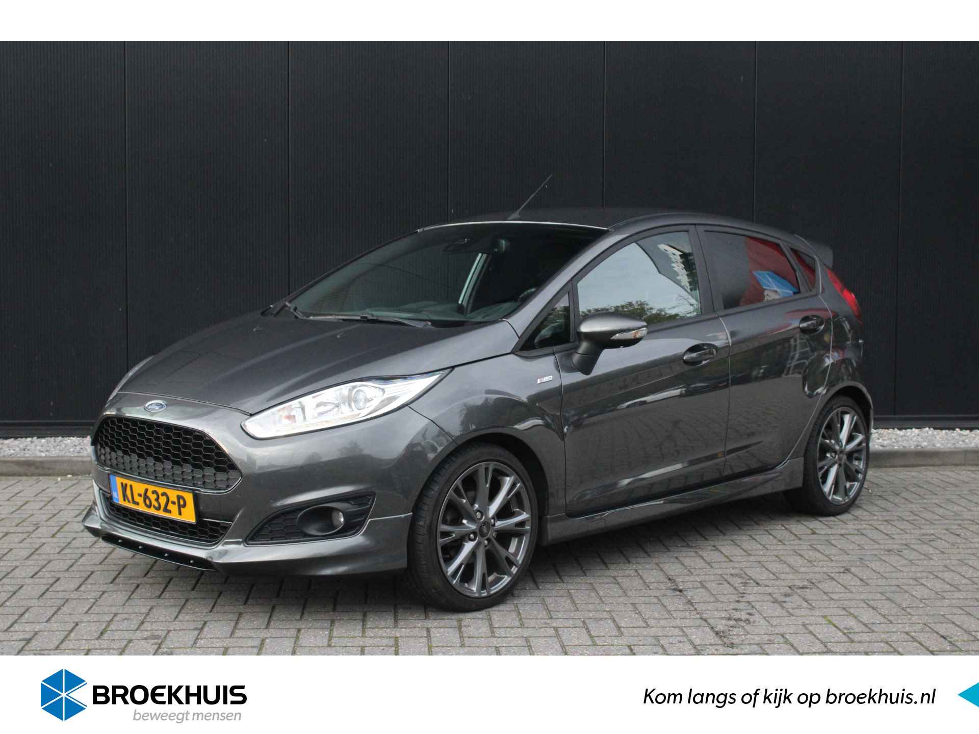 Ford Fiesta BOVAG 40-Puntencheck