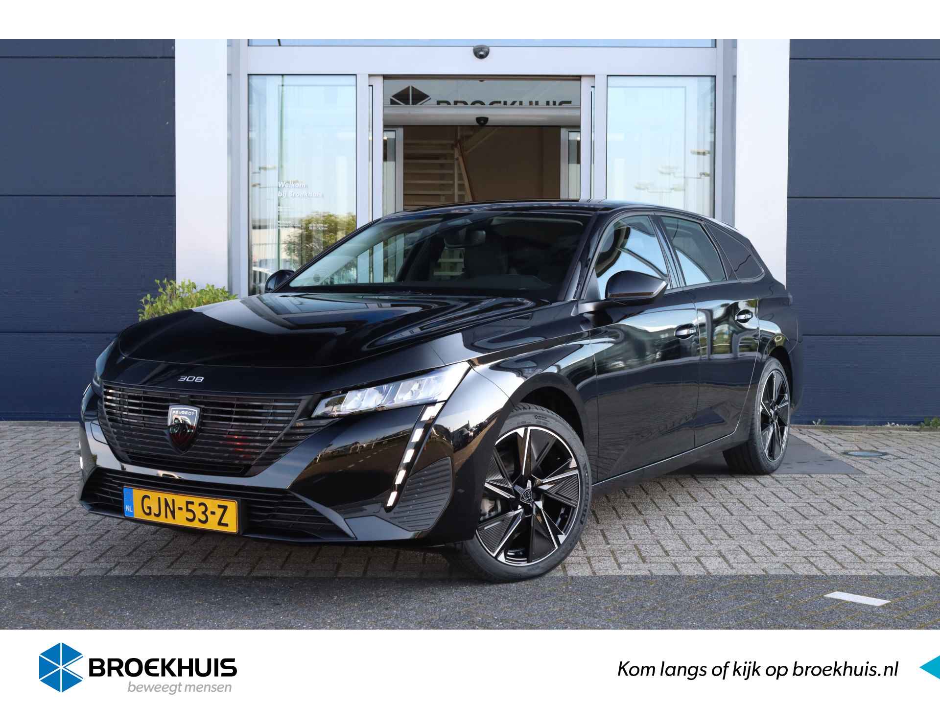 Peugeot e-308 BOVAG 40-Puntencheck