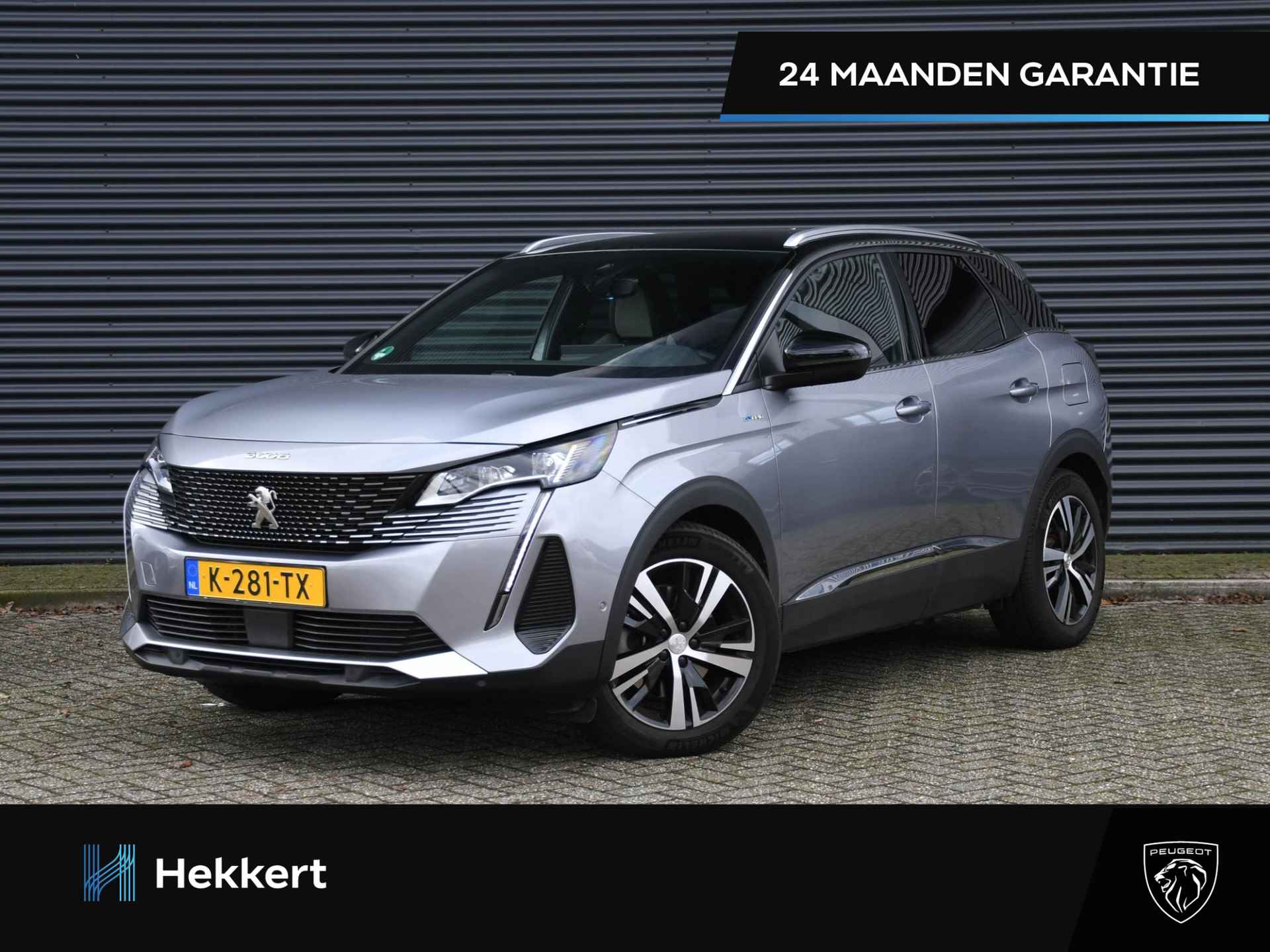 Peugeot 3008 BOVAG 40-Puntencheck