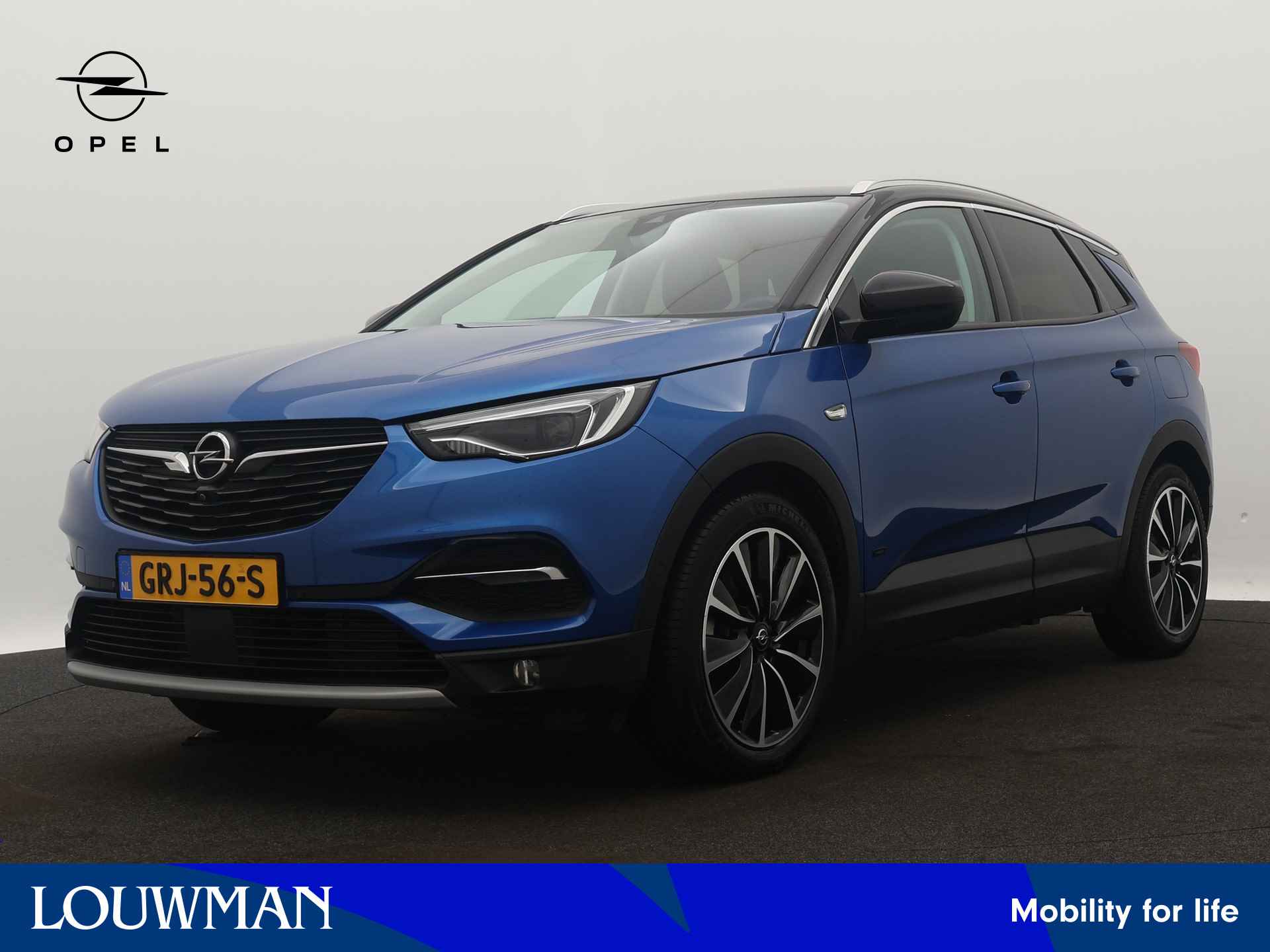 Opel Grandland X BOVAG 40-Puntencheck