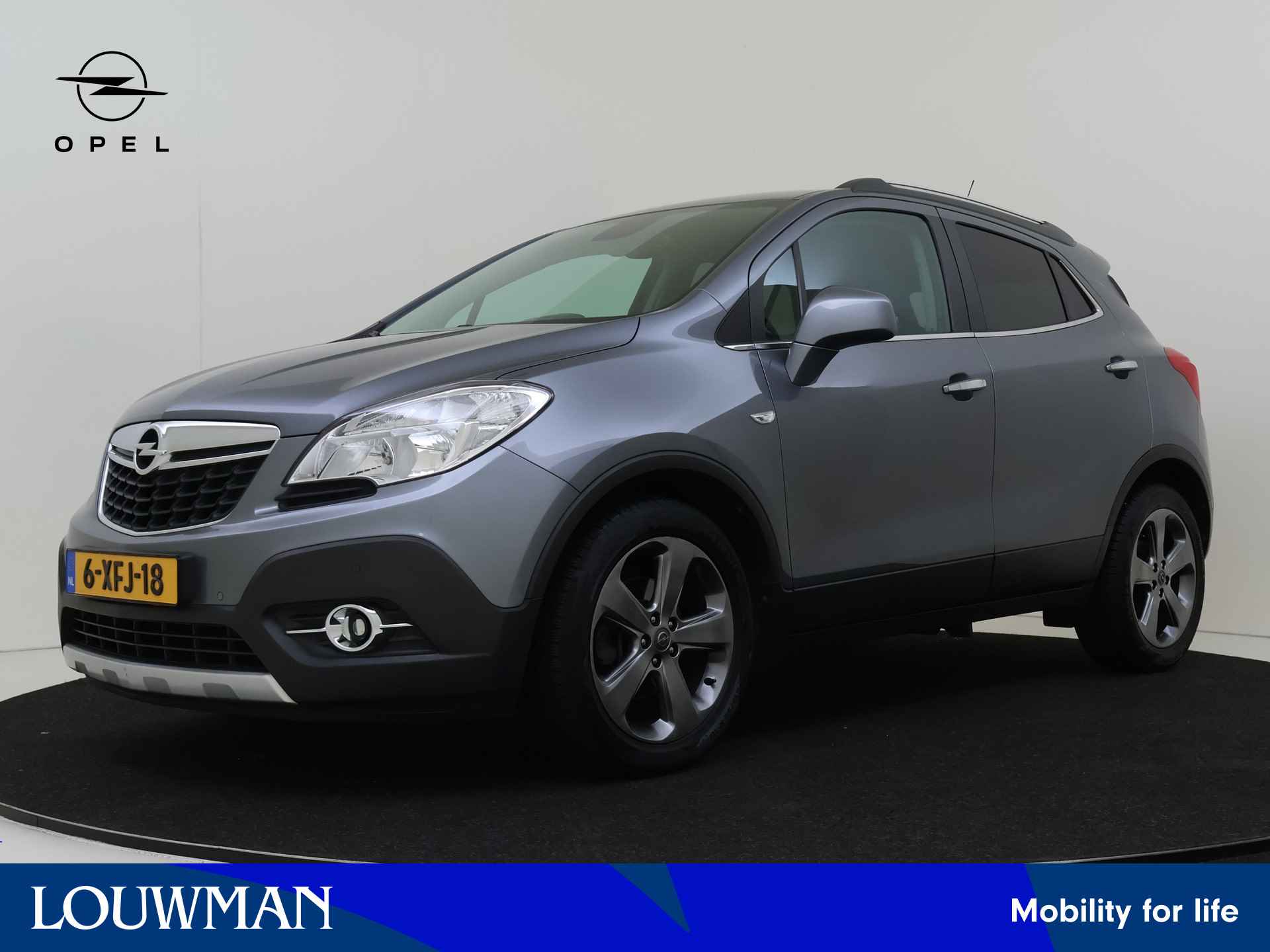 Opel Mokka BOVAG 40-Puntencheck