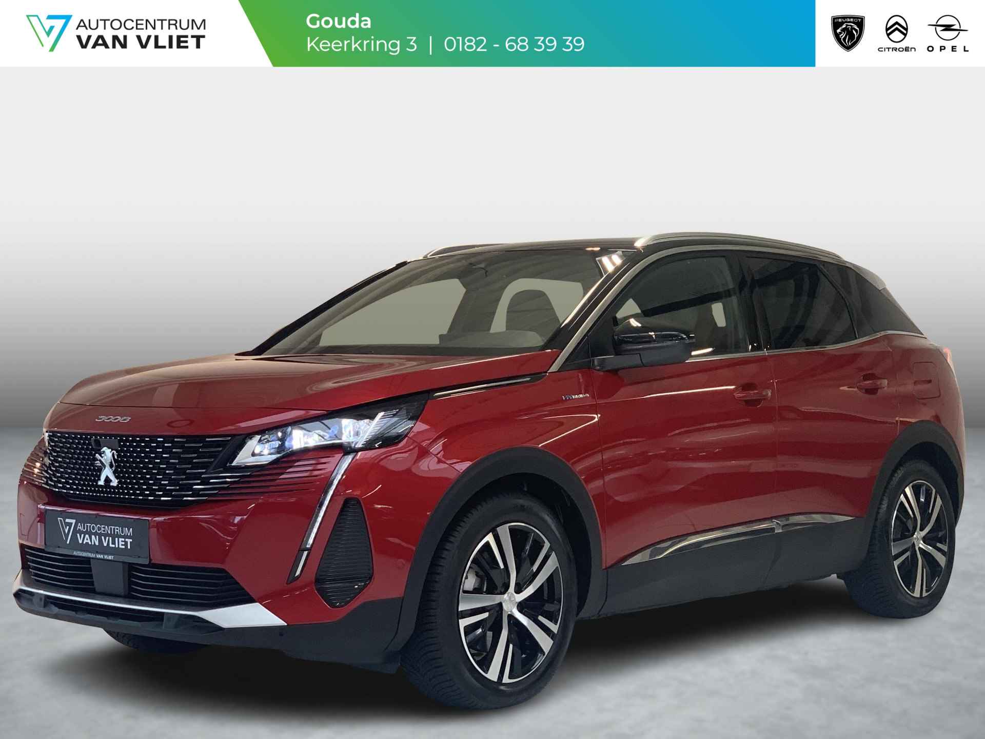 Peugeot 3008 BOVAG 40-Puntencheck