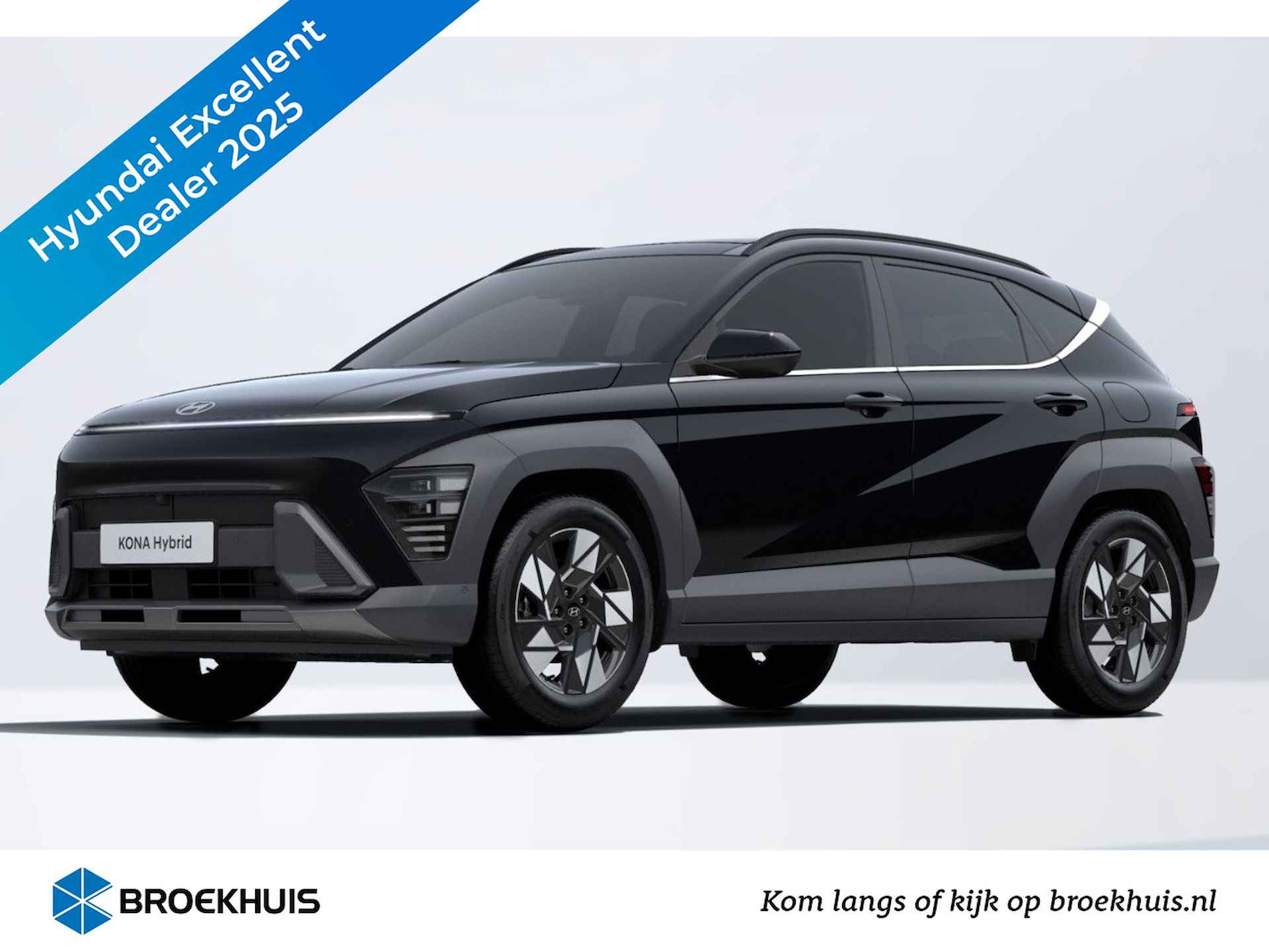 Hyundai Kona BOVAG 40-Puntencheck