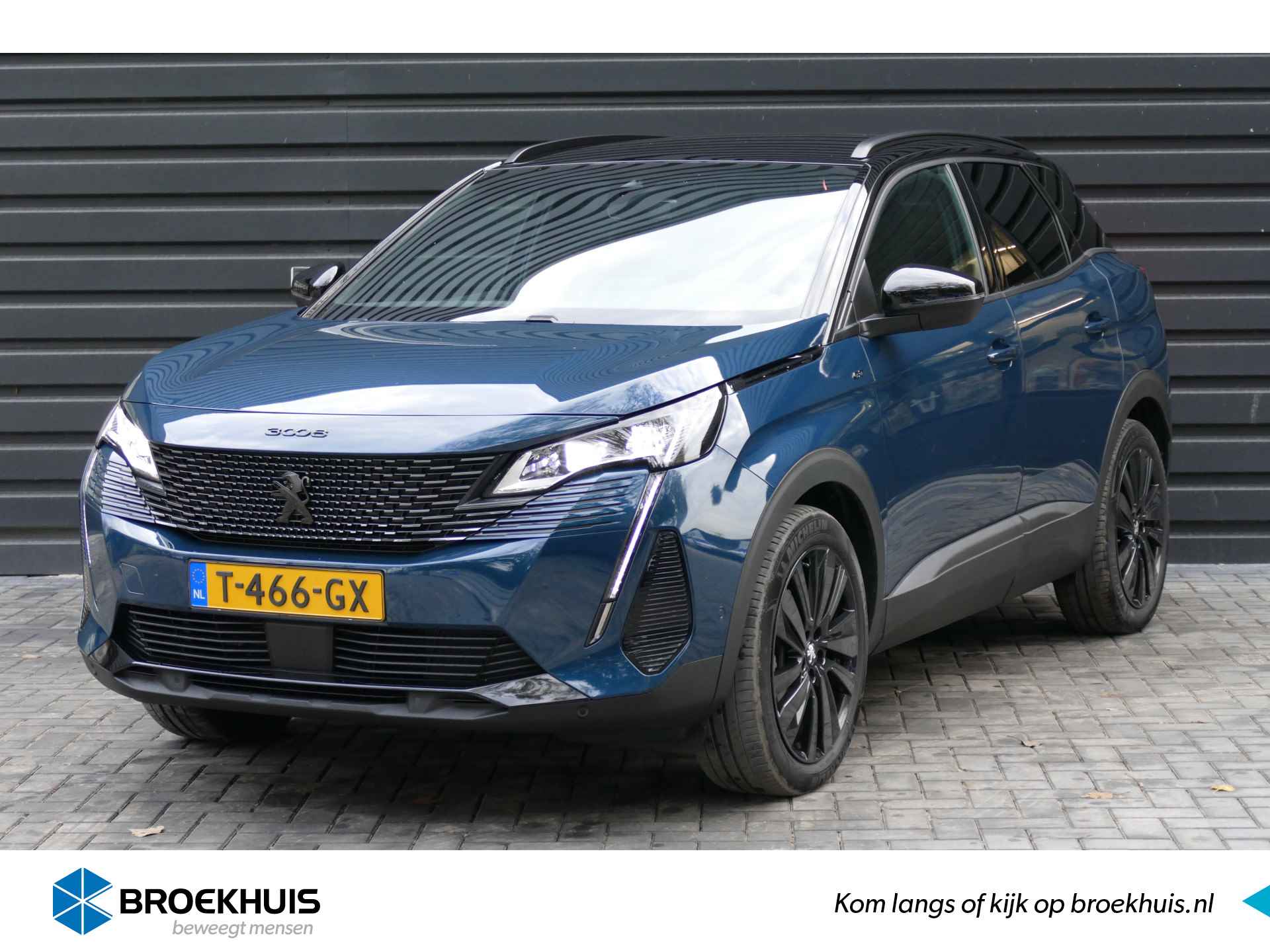 Peugeot 3008 BOVAG 40-Puntencheck