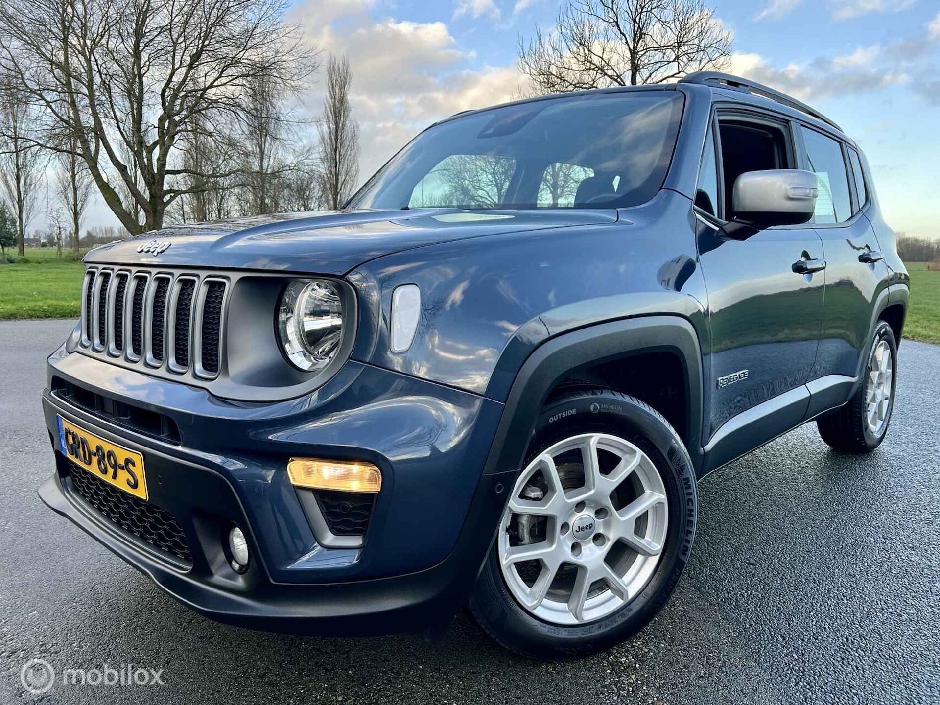 Jeep Renegade 120pk T Limited luxe STAAT RIJKLAAR - 45/53