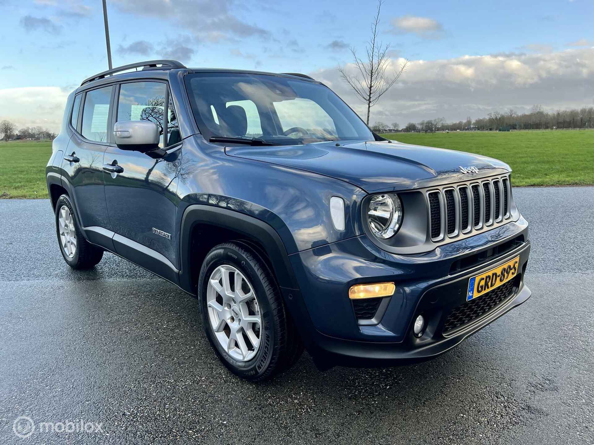 Jeep Renegade 120pk T Limited luxe STAAT RIJKLAAR - 46/53