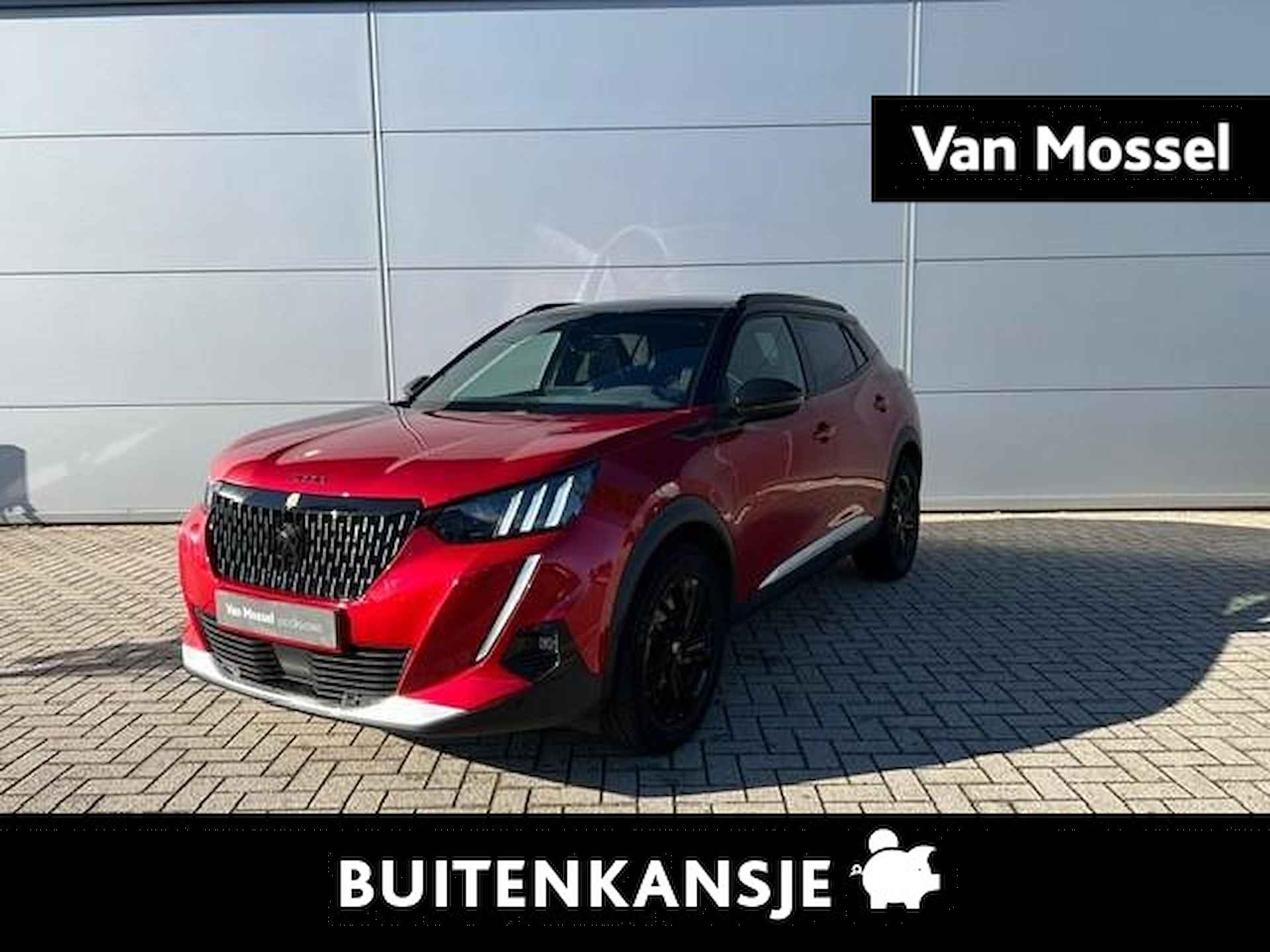 Peugeot 2008 BOVAG 40-Puntencheck