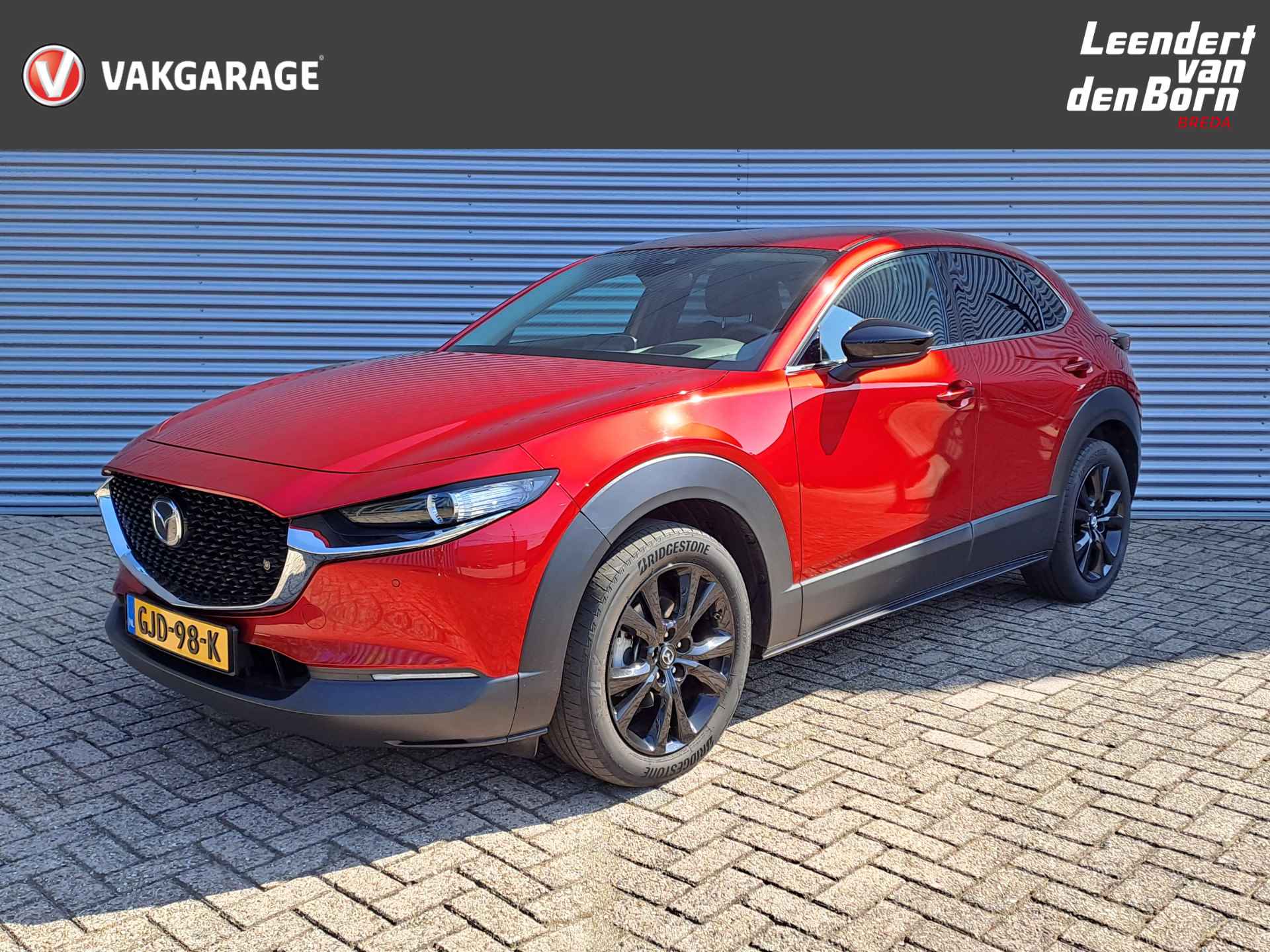 Mazda CX-30 BOVAG 40-Puntencheck