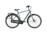 GAZELLE Esprit Heren Thunder Grey Mat 54cm 2025