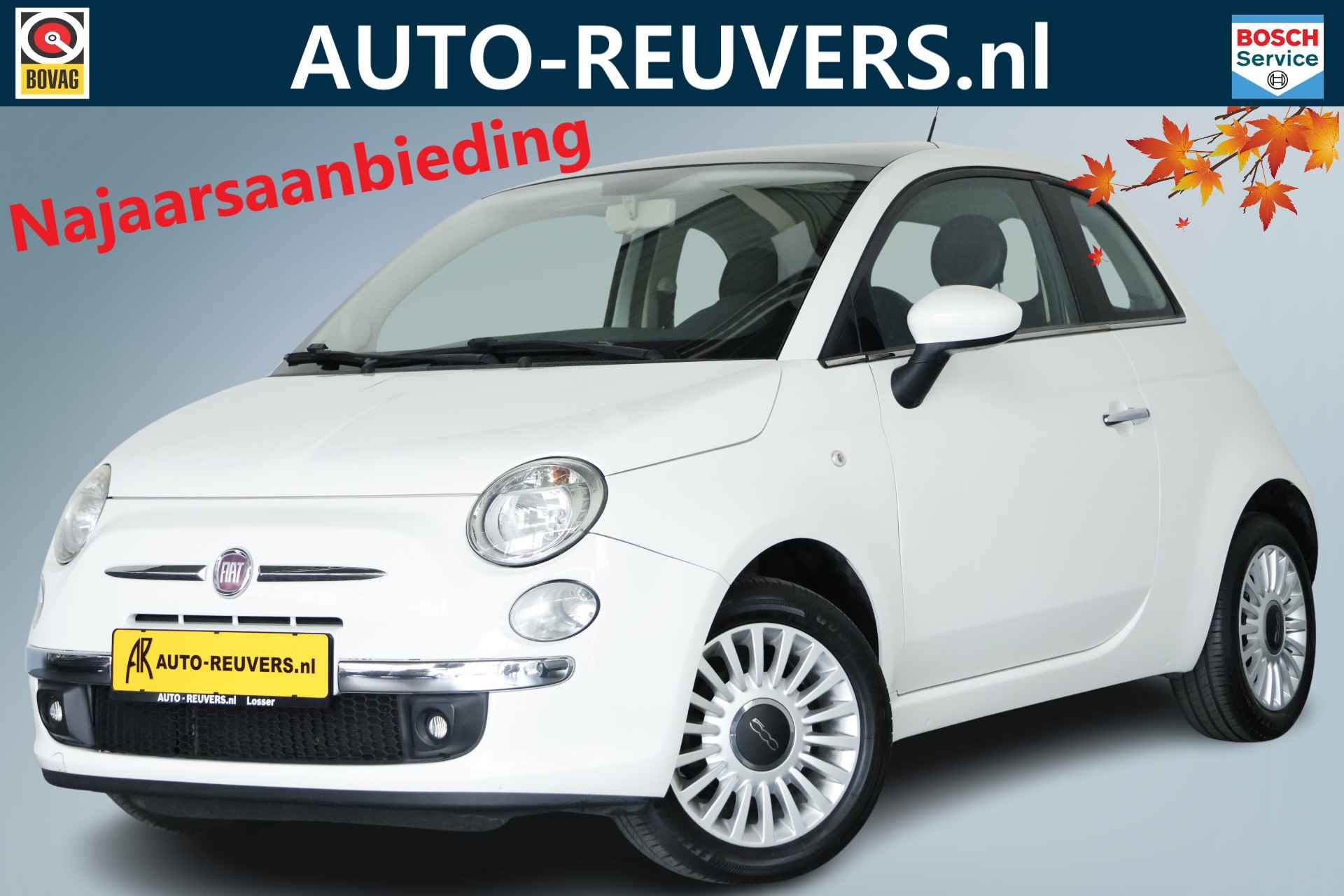 Fiat 500 BOVAG 40-Puntencheck