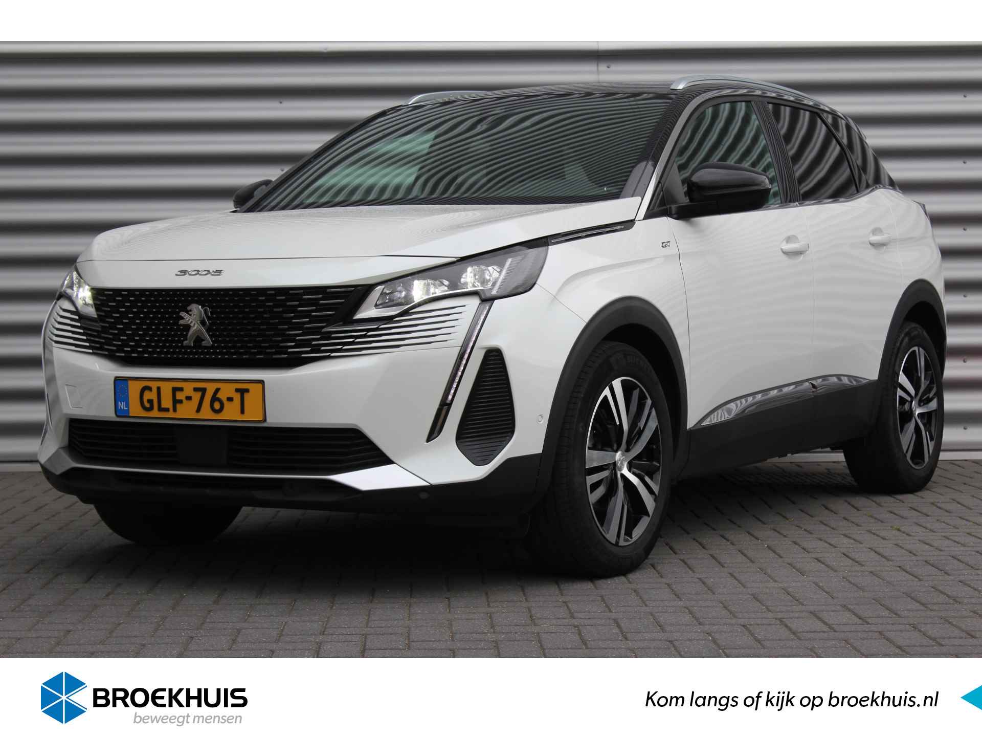 Peugeot 3008 BOVAG 40-Puntencheck