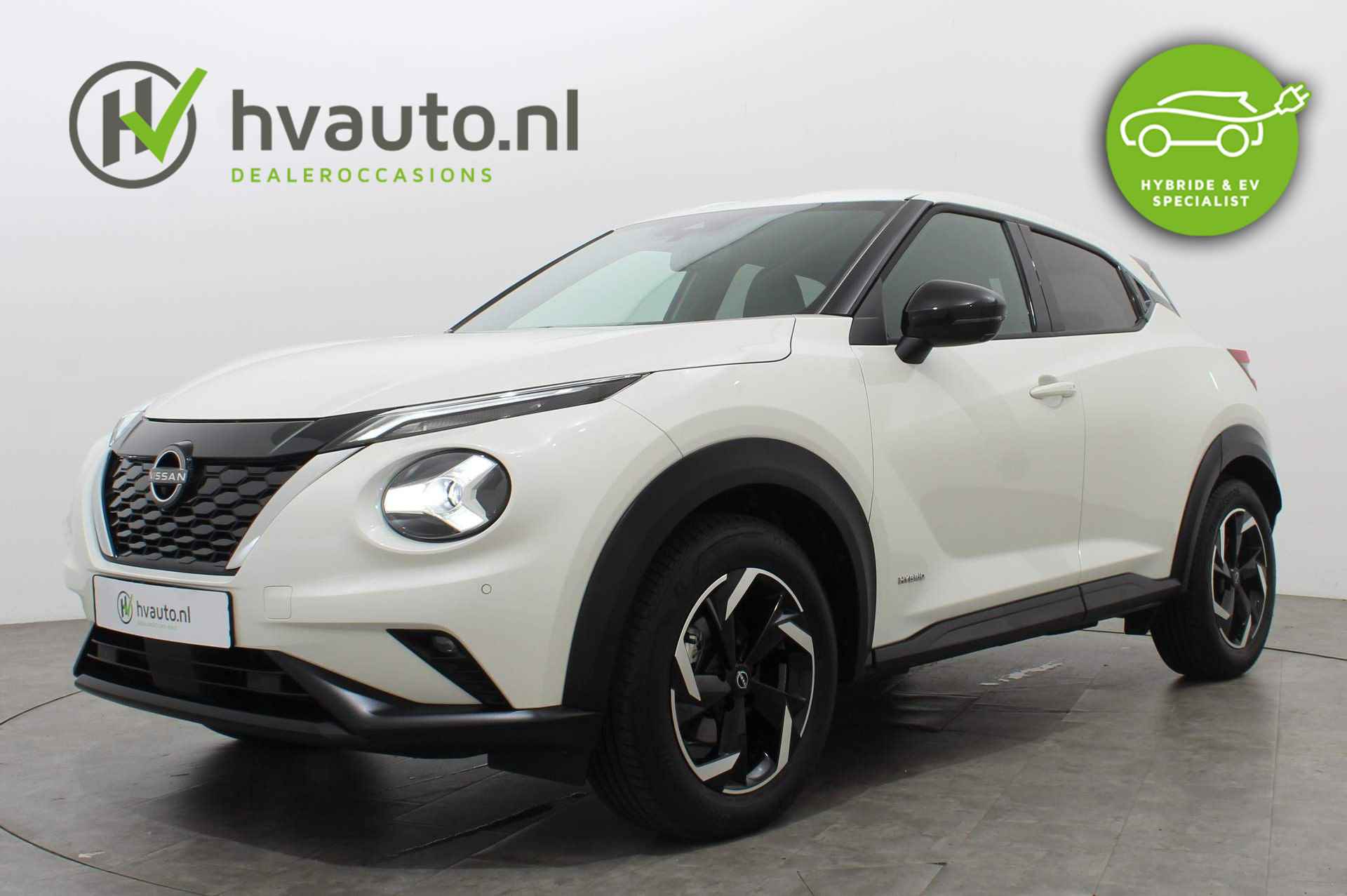 Nissan Juke BOVAG 40-Puntencheck