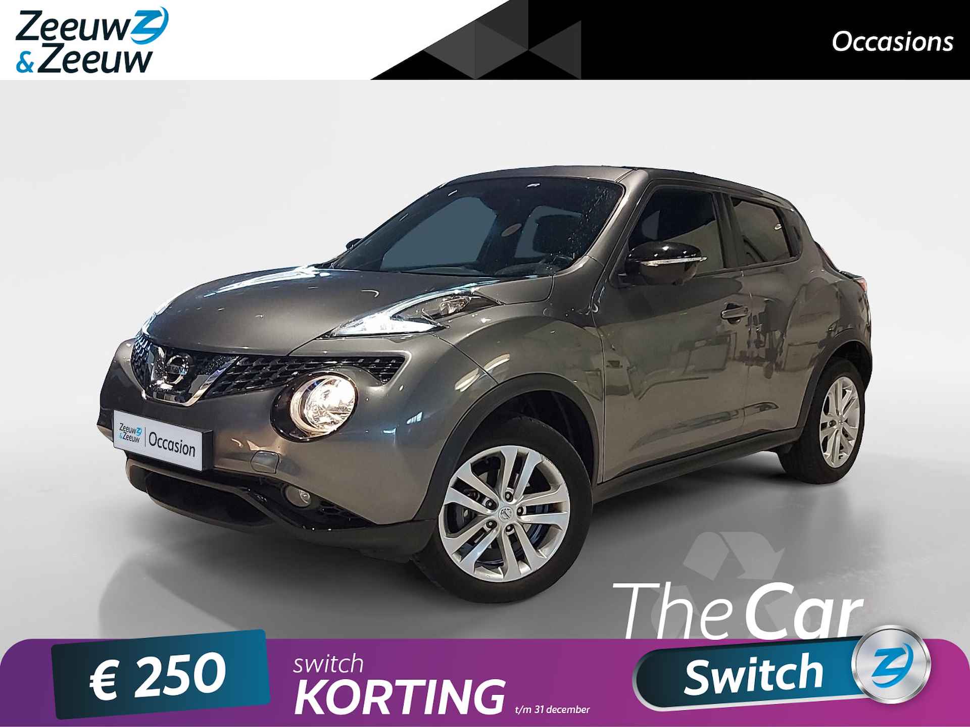 Nissan Juke BOVAG 40-Puntencheck