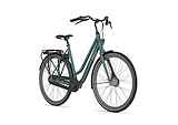 GAZELLE Esprit DAMES Thyme Green Mat 49cm 2025