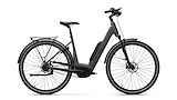 Advanced Ebike Das Original TOUR Plus Wave 50 Perf. 50 / 545 Wh / Intuvia 100 Coal Grey Matt 50cm 2023