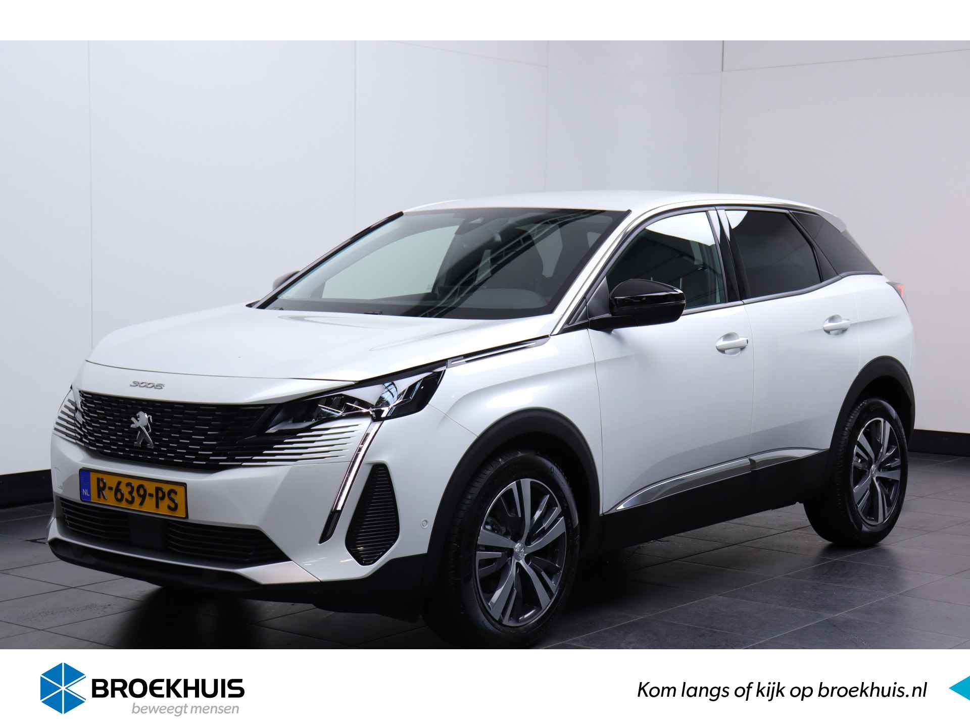 Peugeot 3008 BOVAG 40-Puntencheck