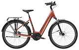 TREK District+ 4 L55 Dames Pennyflake L 55cm L 2024