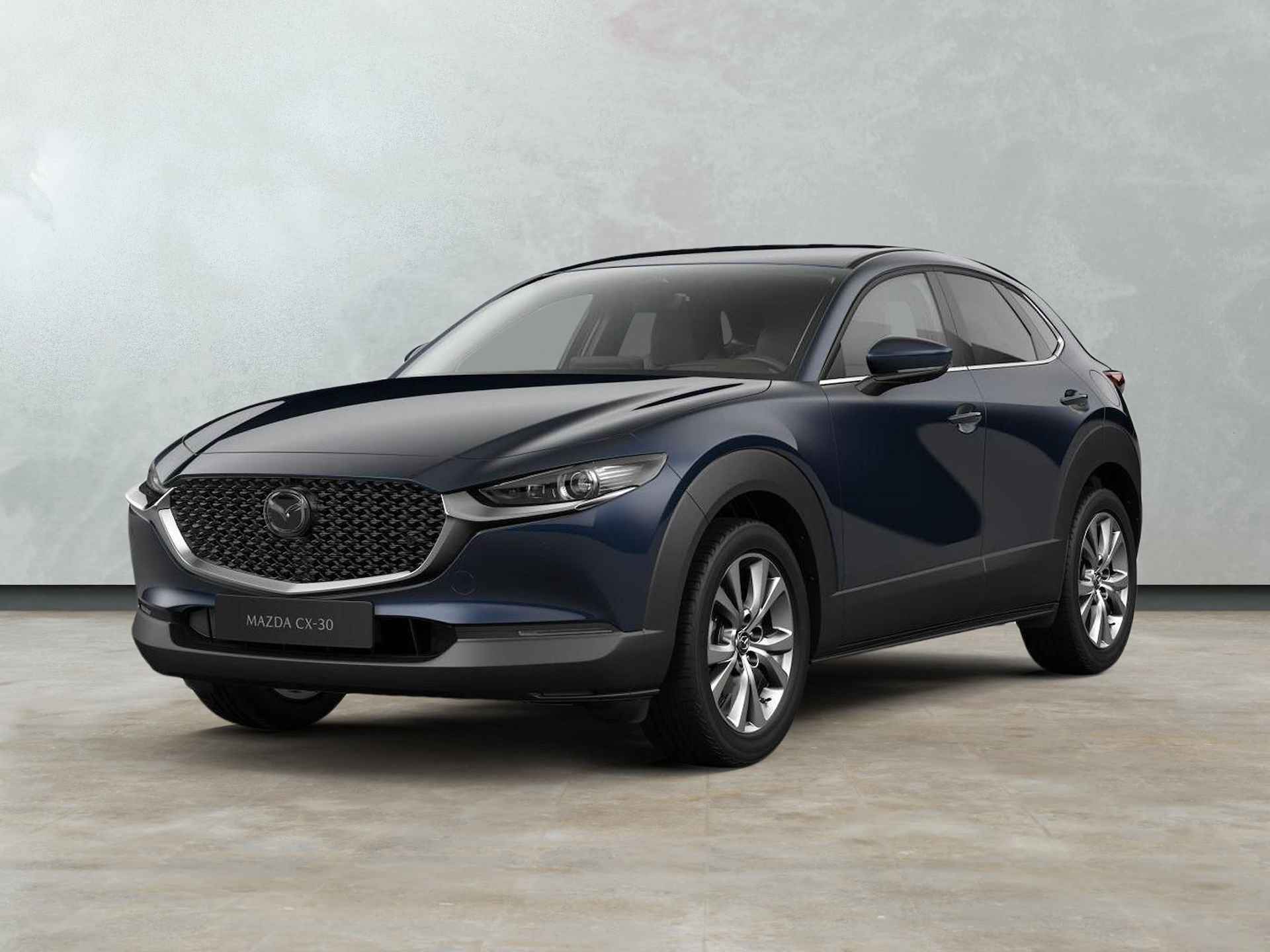 Mazda CX-30 BOVAG 40-Puntencheck