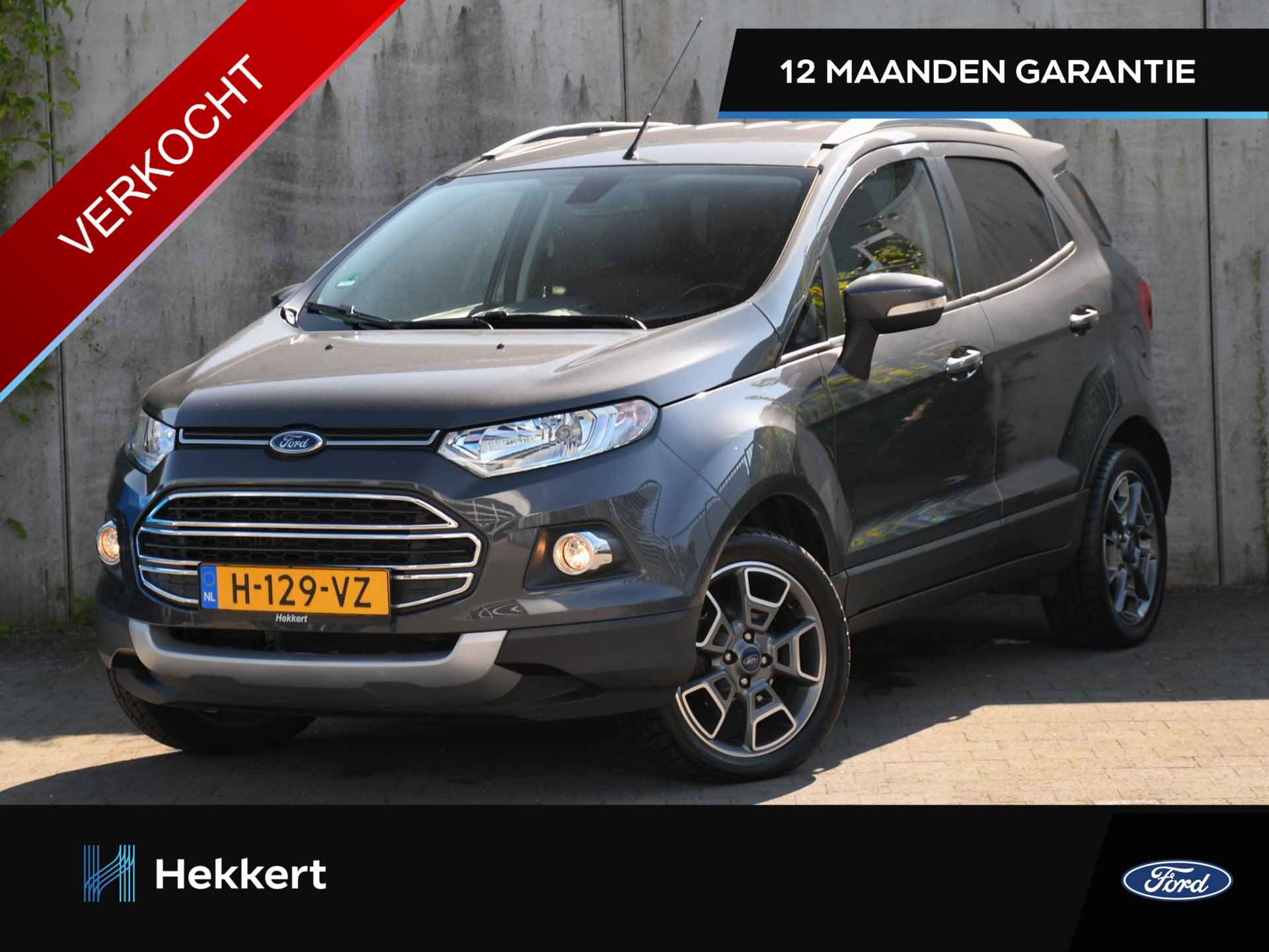 Ford EcoSport BOVAG 40-Puntencheck