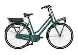 GAZELLE HeavyDutyNL C7+ HMB DAMES Thyme Green Glans 49cm 2024