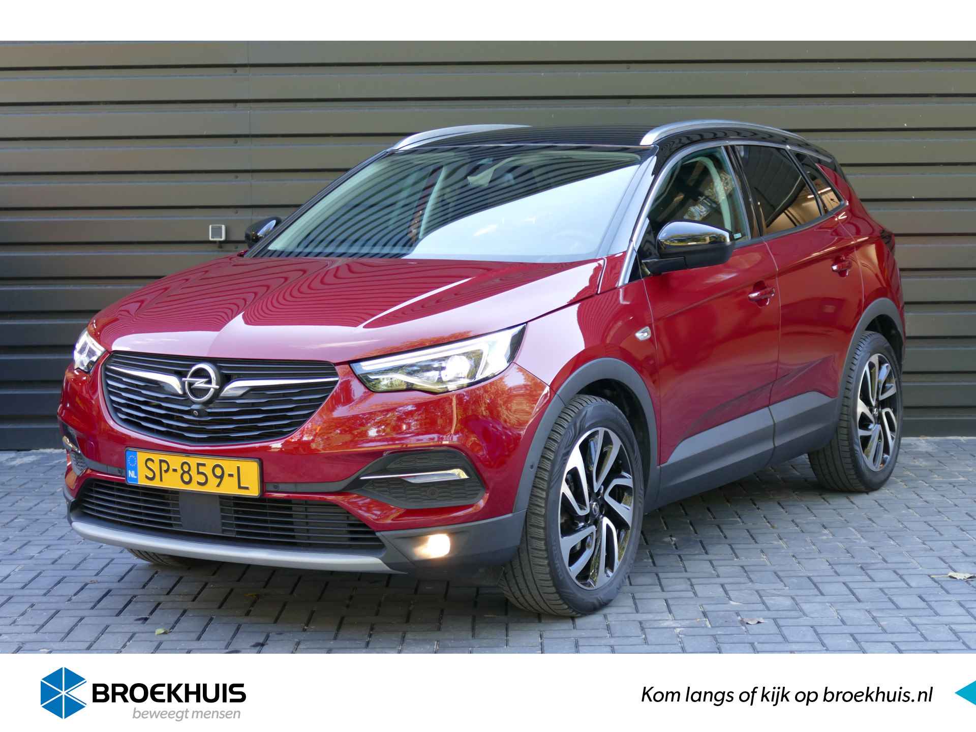 Opel Grandland X BOVAG 40-Puntencheck