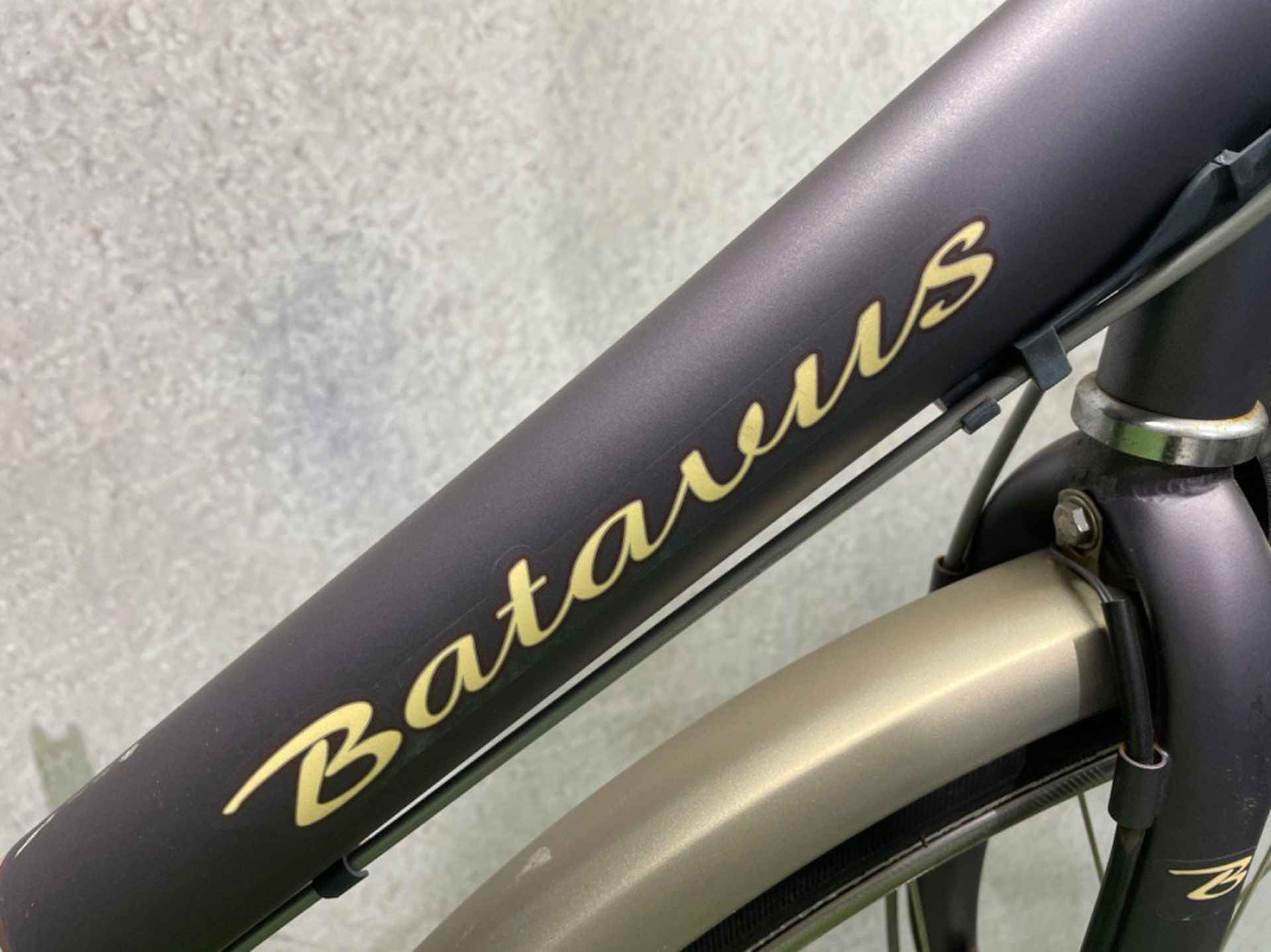 Batavus Verona | Technisch in orde Dames Grijs - 2/2