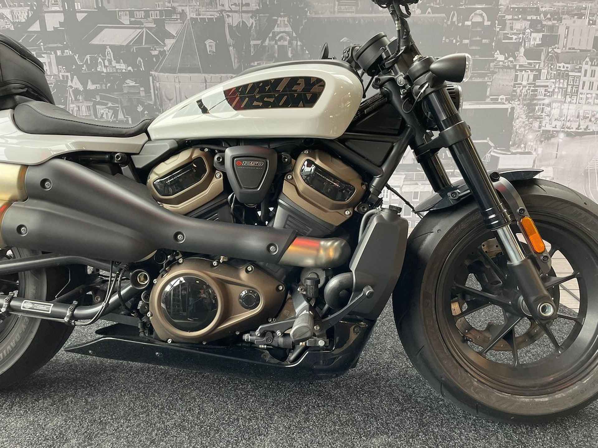 Harley-Davidson SPORTSTER S 1250 - 2/8