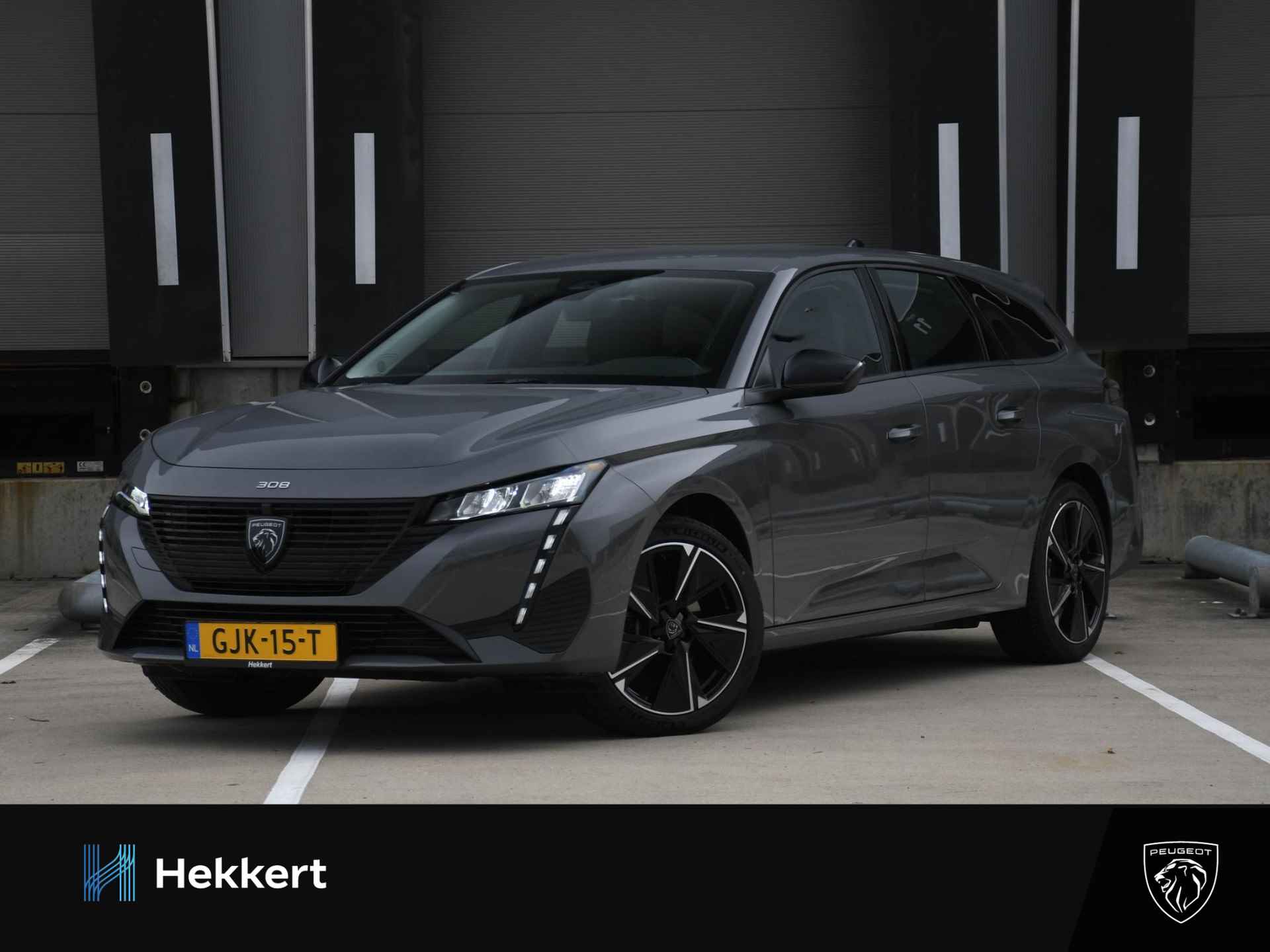 Peugeot e-308 BOVAG 40-Puntencheck