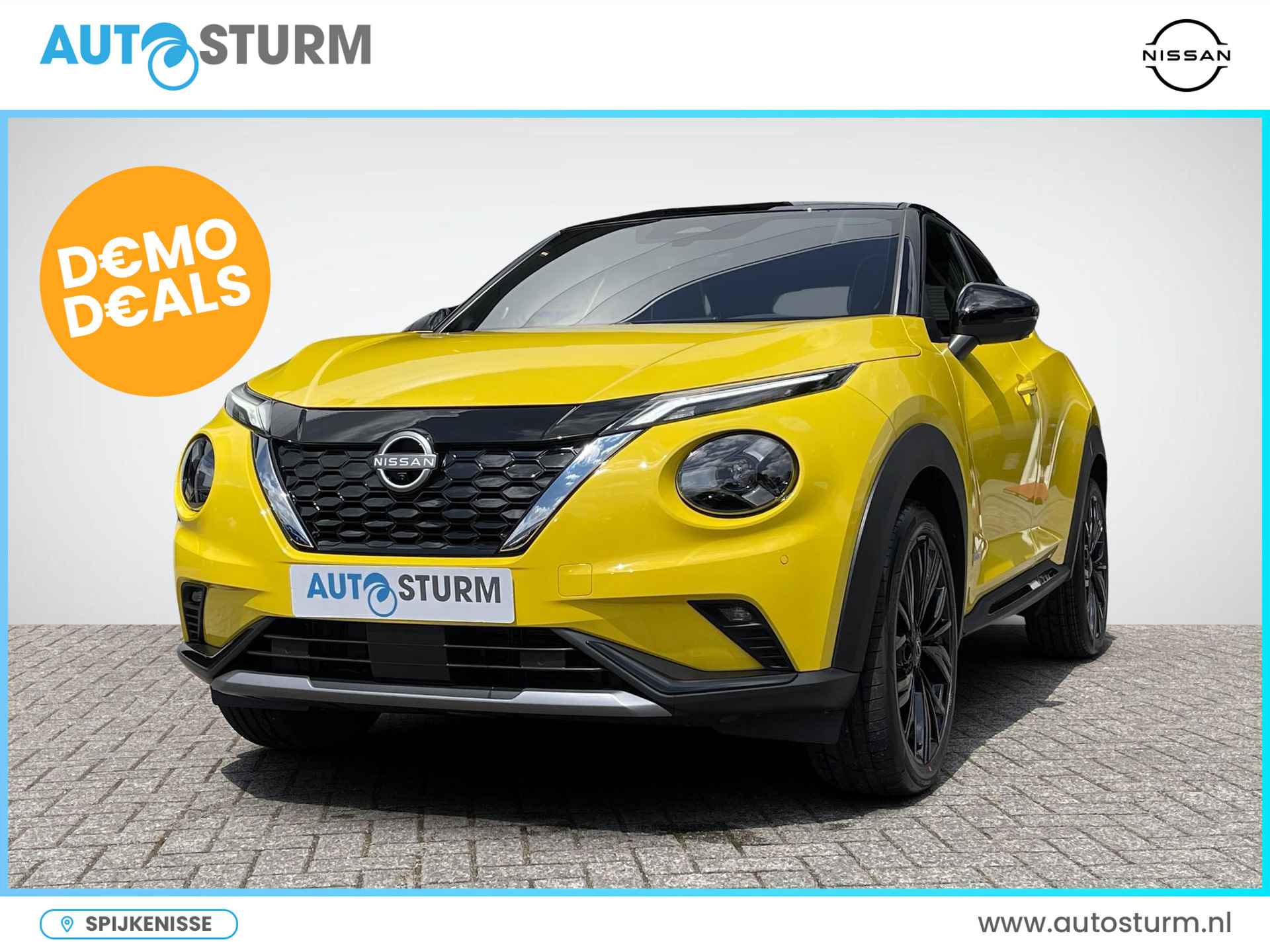 Nissan Juke BOVAG 40-Puntencheck