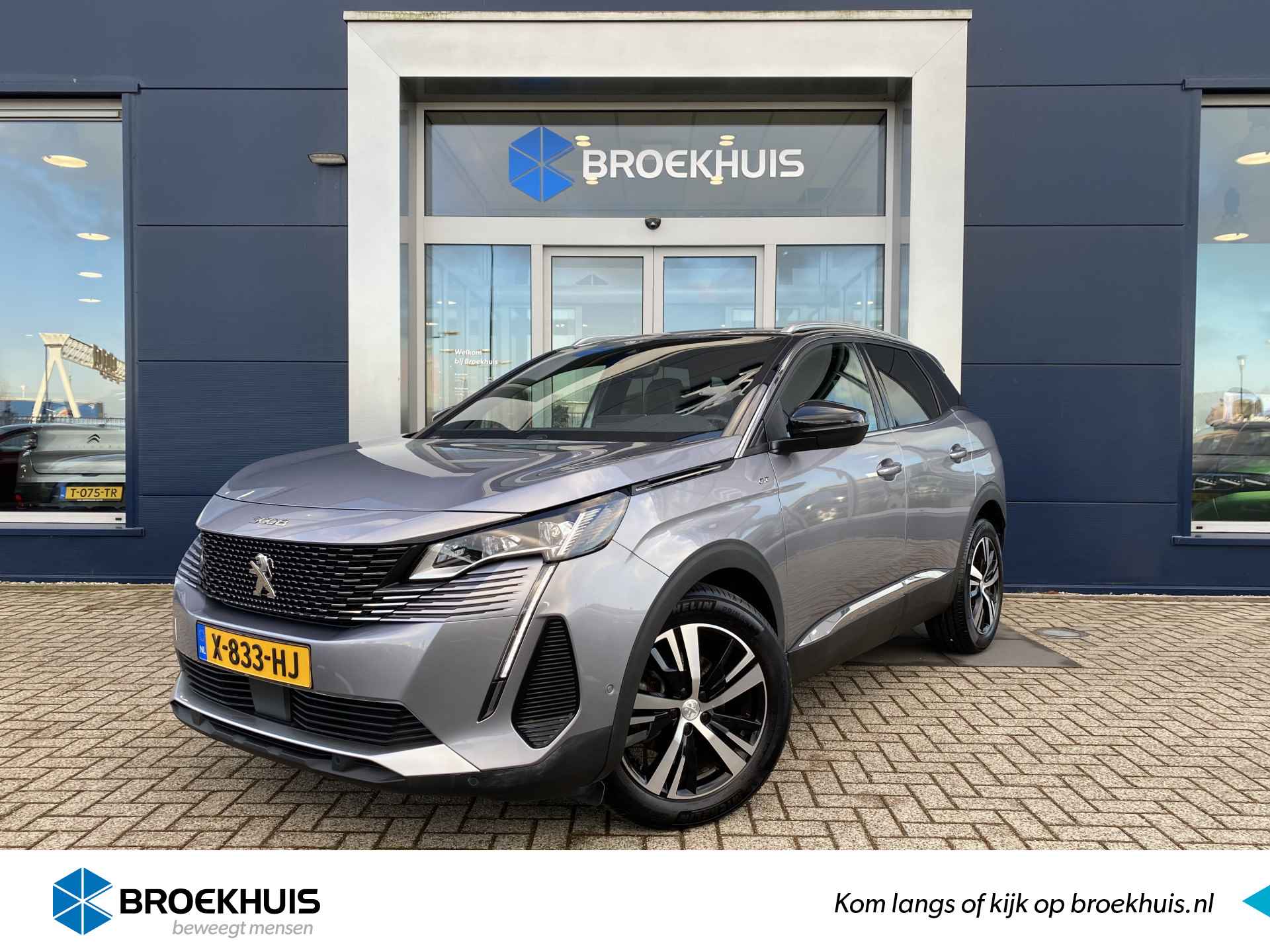 Peugeot 3008 BOVAG 40-Puntencheck