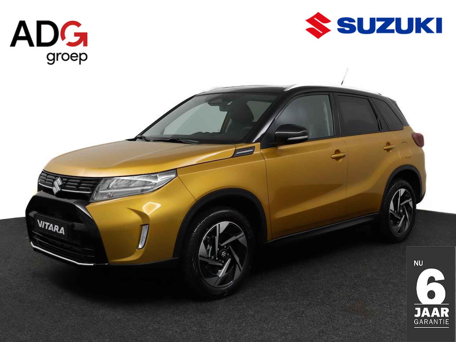 Suzuki Vitara BOVAG 40-Puntencheck