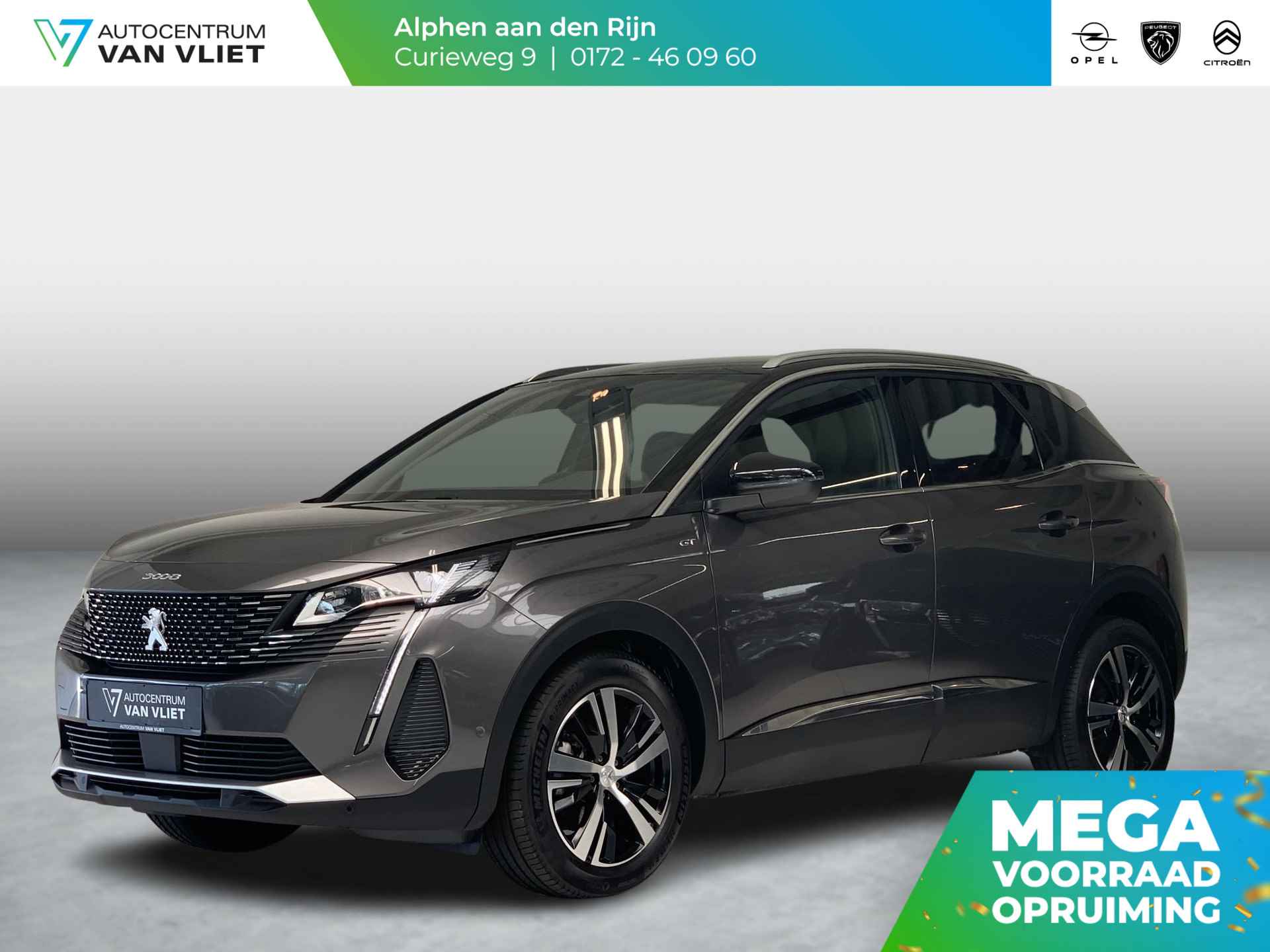 Peugeot 3008 BOVAG 40-Puntencheck