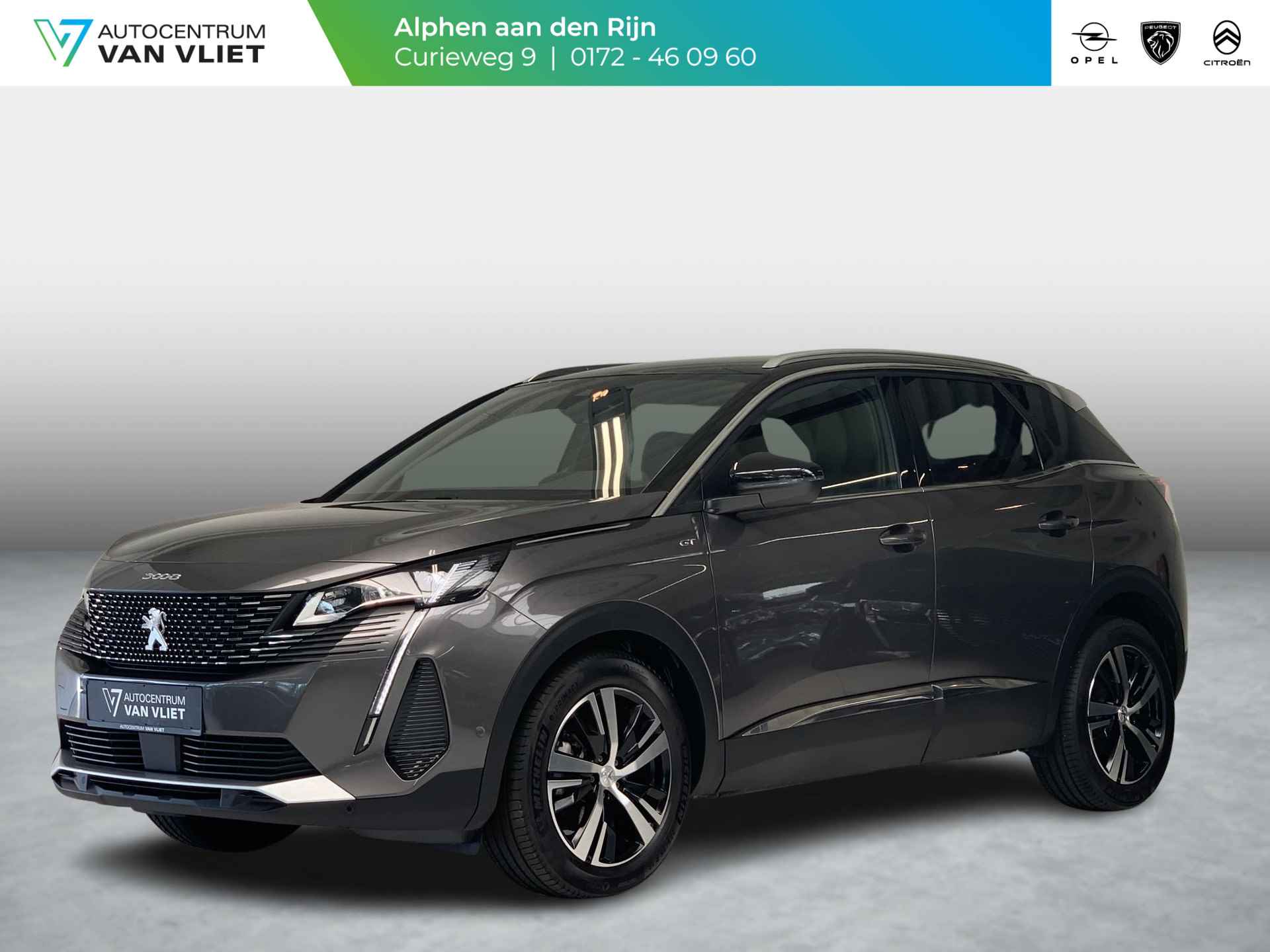 Peugeot 3008 BOVAG 40-Puntencheck