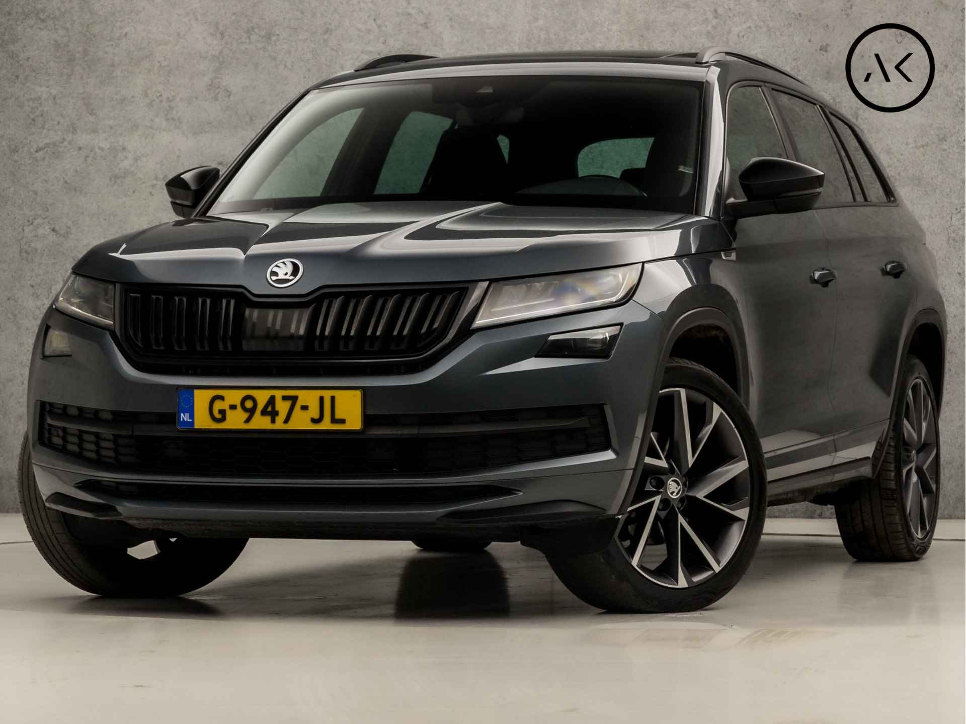 Škoda Kodiaq BOVAG 40-Puntencheck