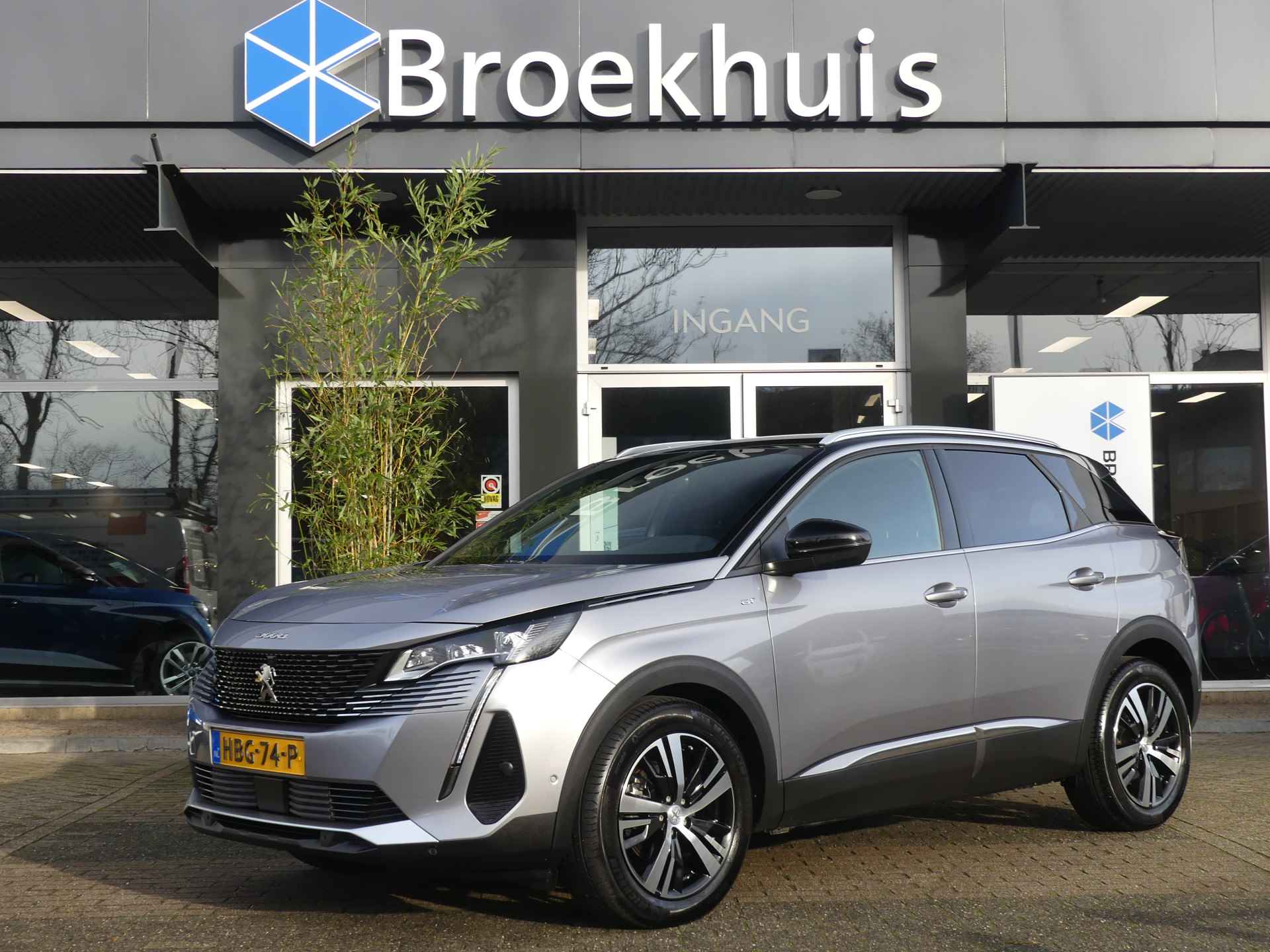 Peugeot 3008 BOVAG 40-Puntencheck