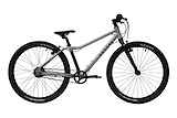 Rascal 24 Titan 3 Speed Nexus Titanium 2023