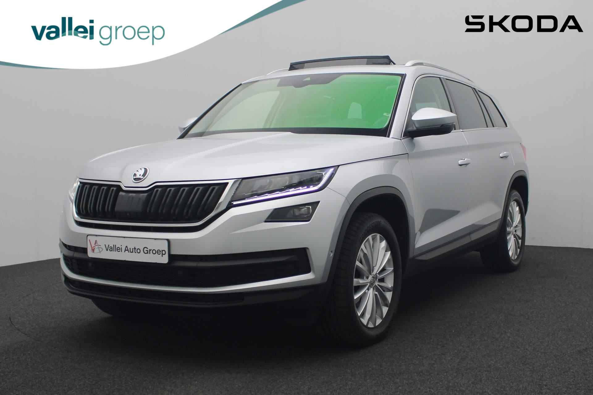 Škoda Kodiaq BOVAG 40-Puntencheck