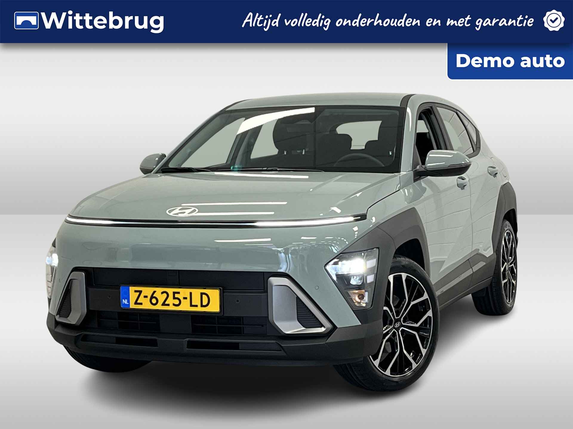 Hyundai Kona BOVAG 40-Puntencheck