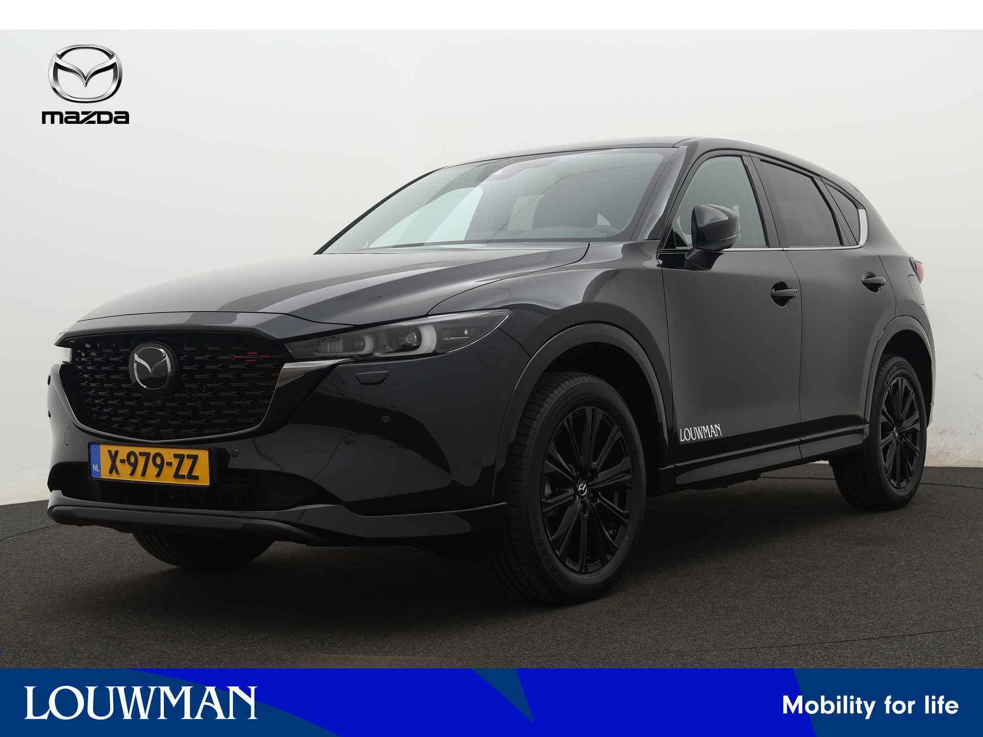 Mazda CX-5 BOVAG 40-Puntencheck