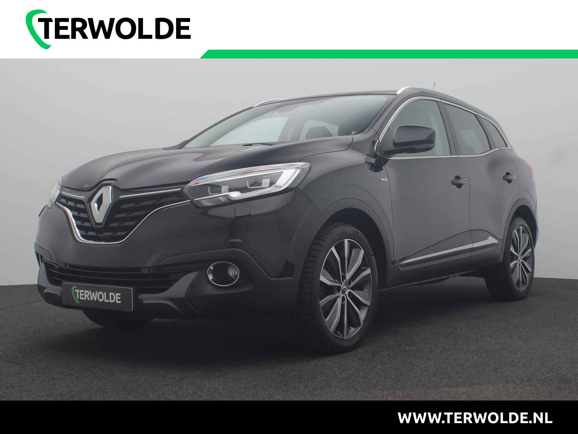 Renault Kadjar BOVAG 40-Puntencheck