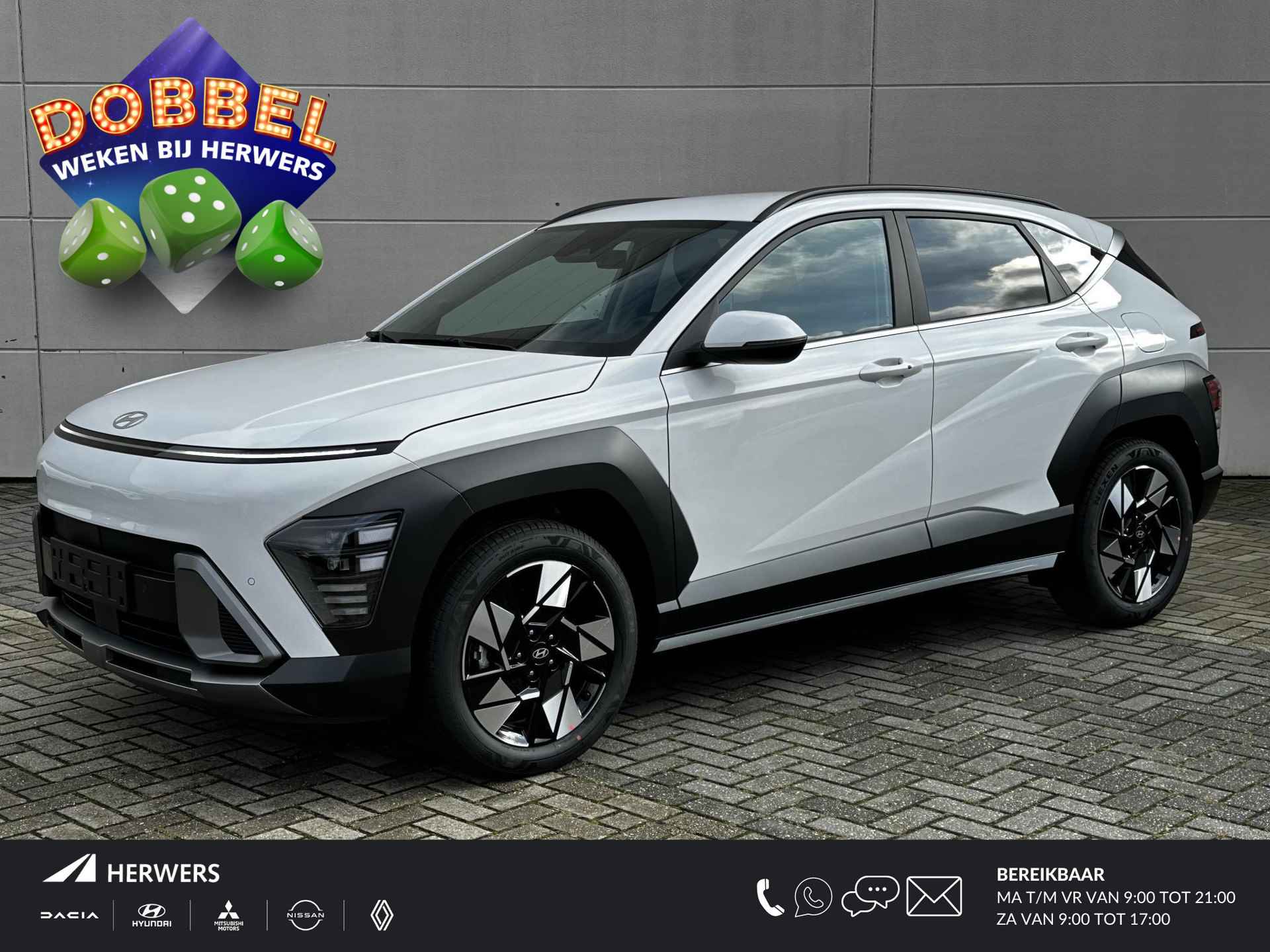 Hyundai Kona BOVAG 40-Puntencheck