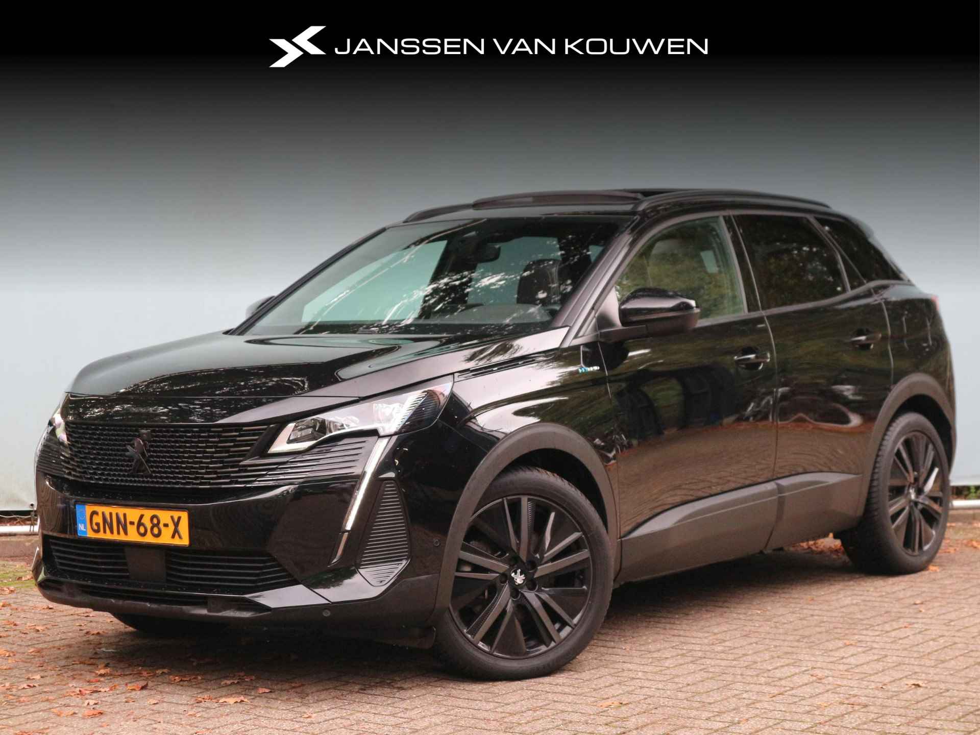 Peugeot 3008 BOVAG 40-Puntencheck