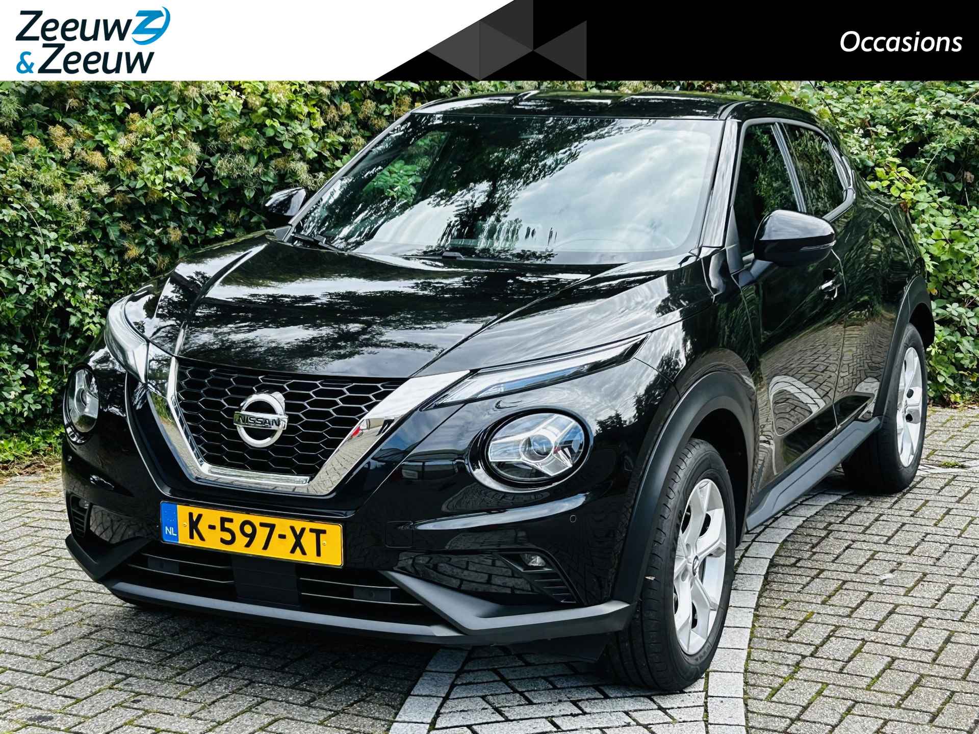 Nissan Juke BOVAG 40-Puntencheck