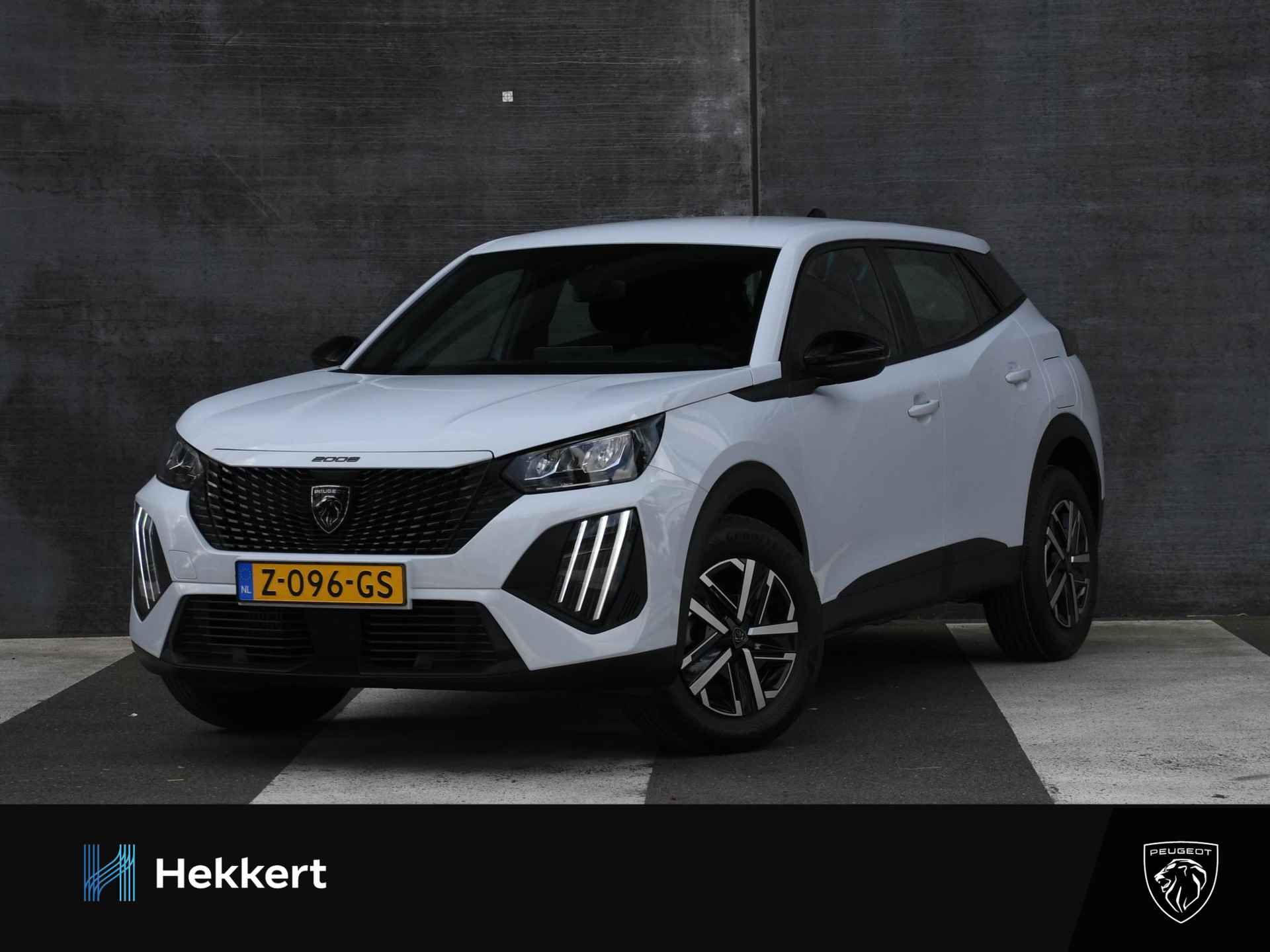 Peugeot 2008 BOVAG 40-Puntencheck