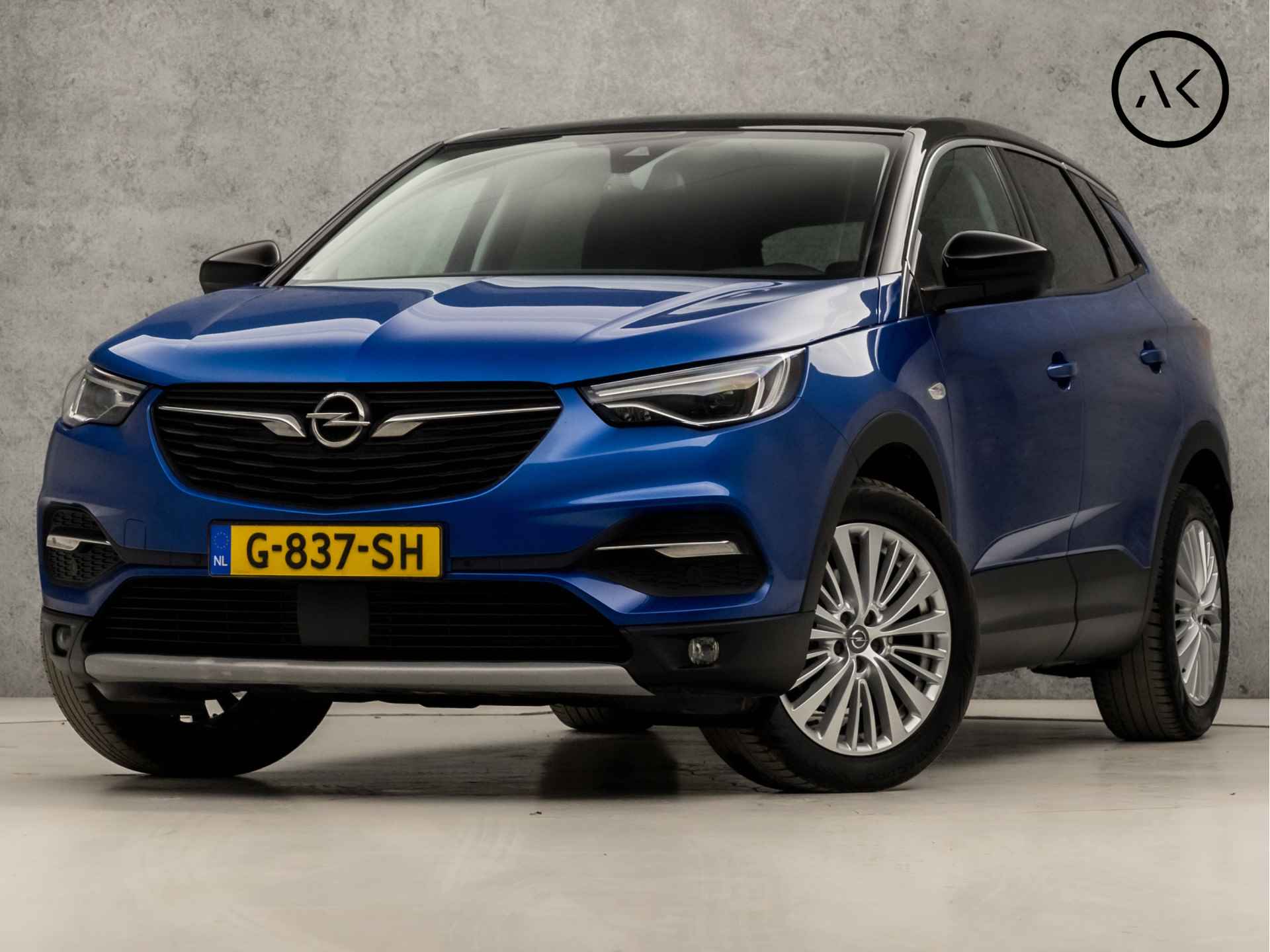 Opel Grandland X BOVAG 40-Puntencheck